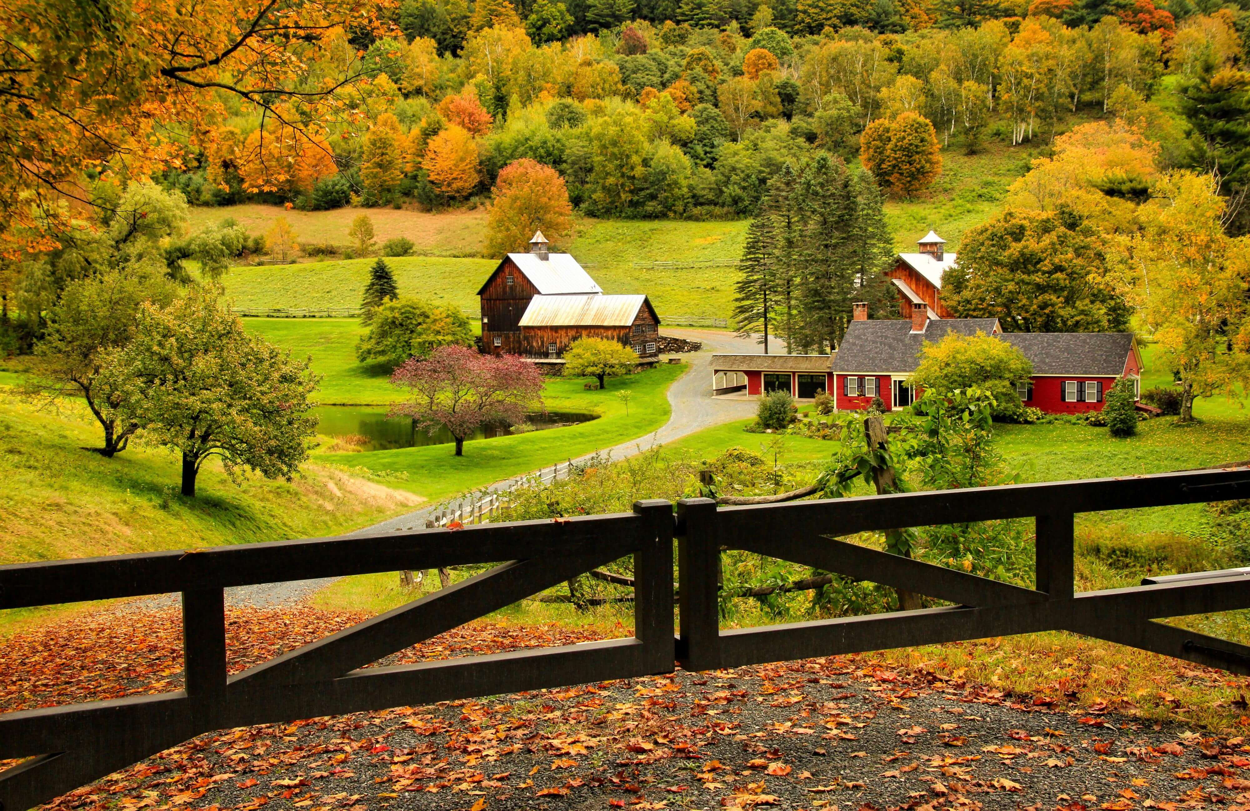 Sleepy Hollow Farm Foliage with gate