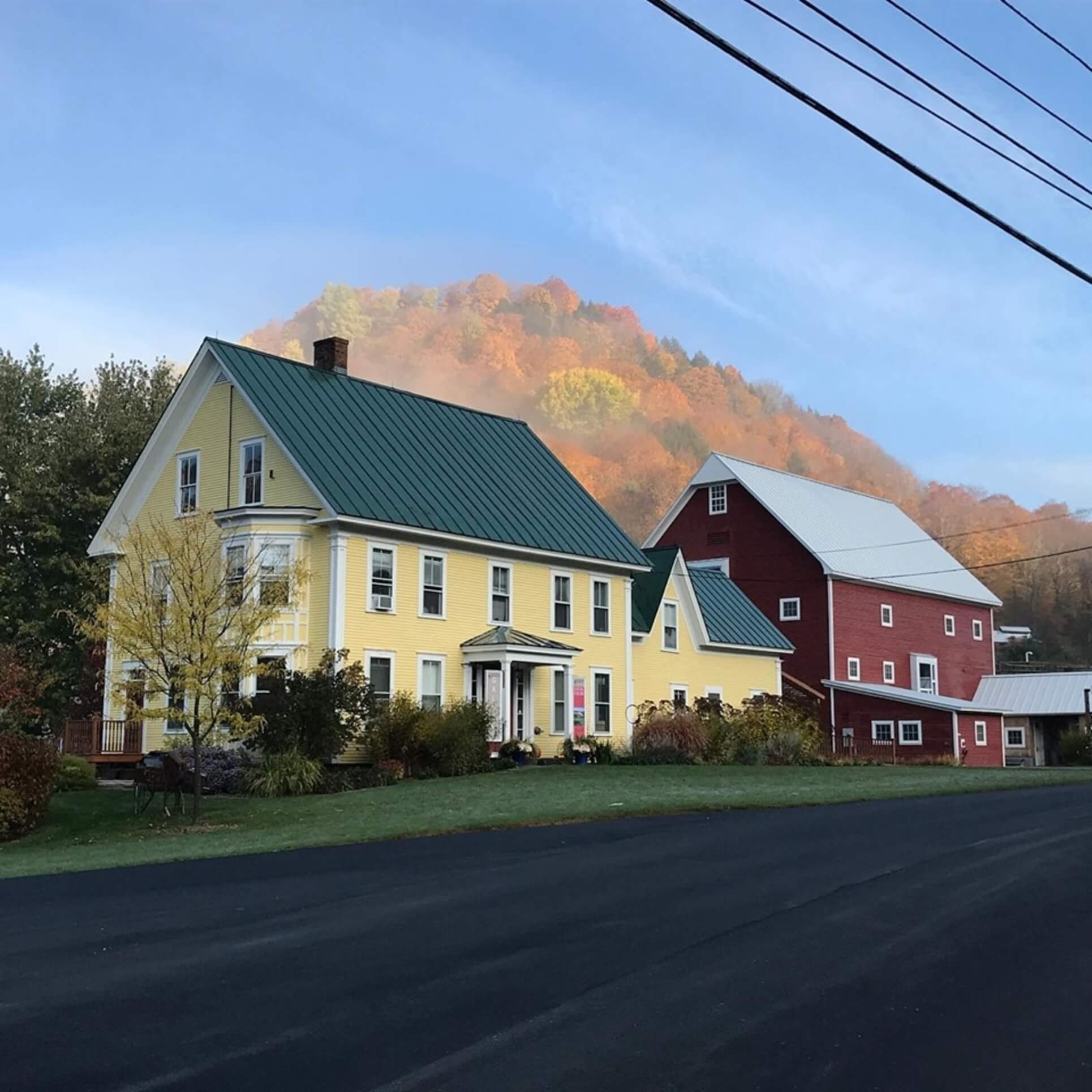 Artistree in fall