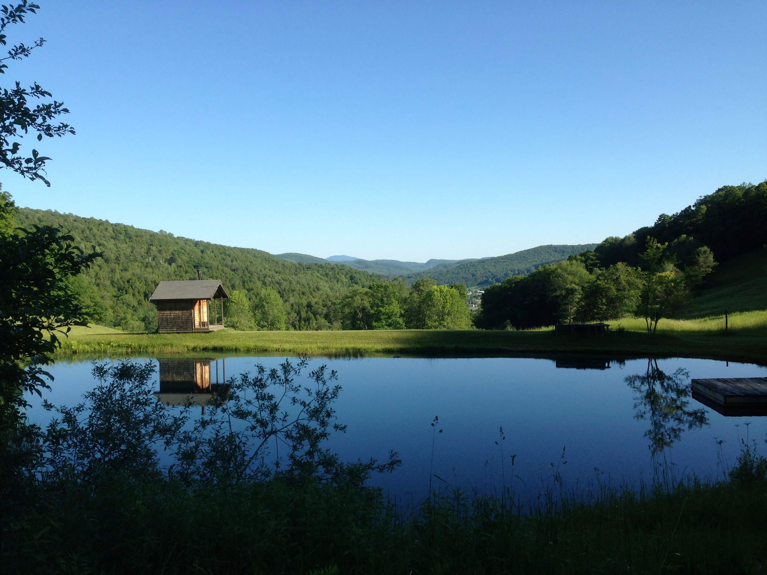 arborscape inc pond