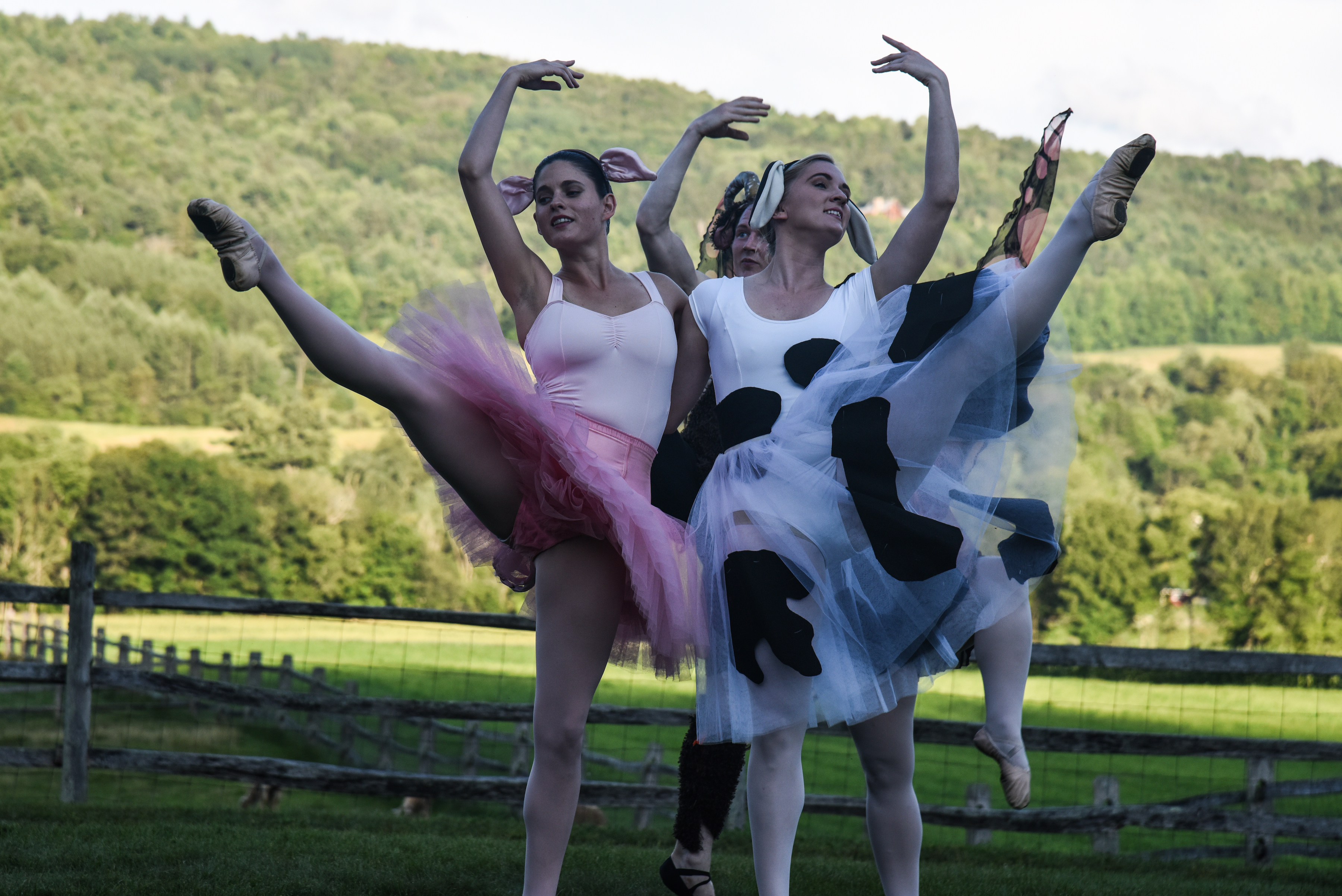 Farm to Ballet, Billings Farm and Museum