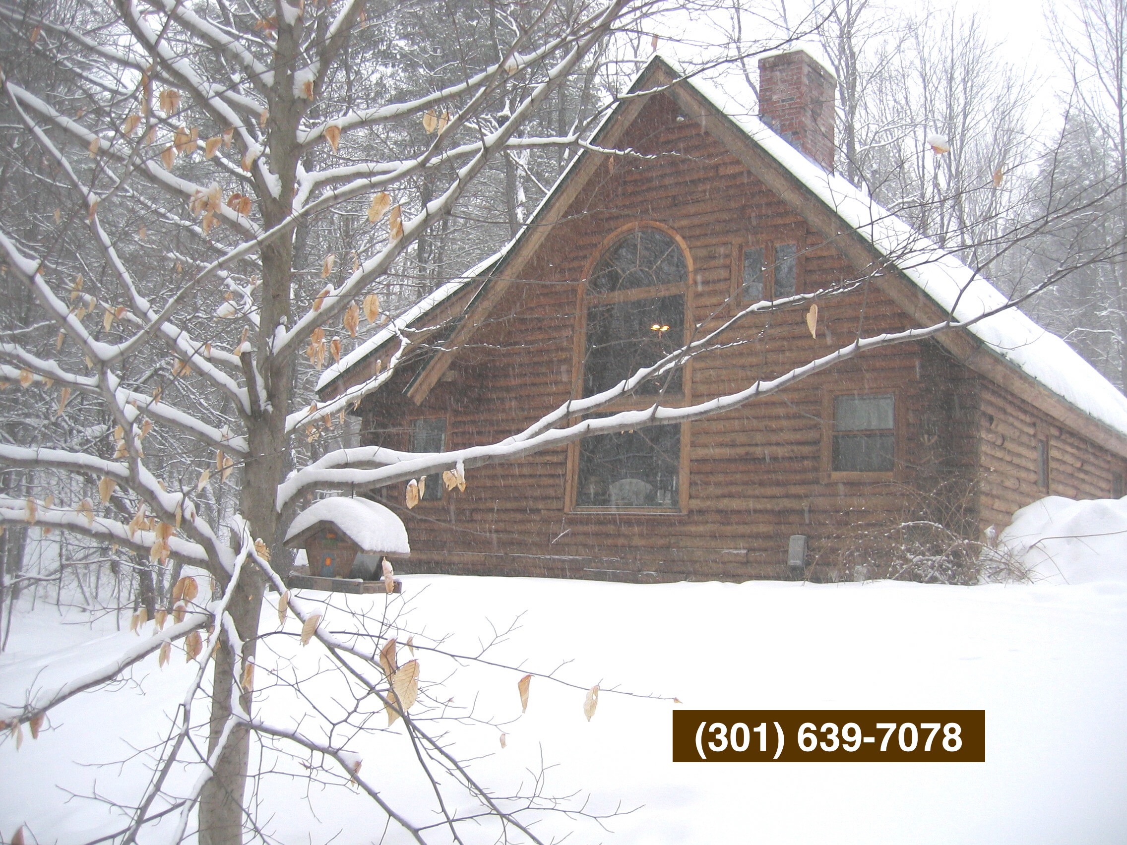 Watch the snow from the cathedral sized window