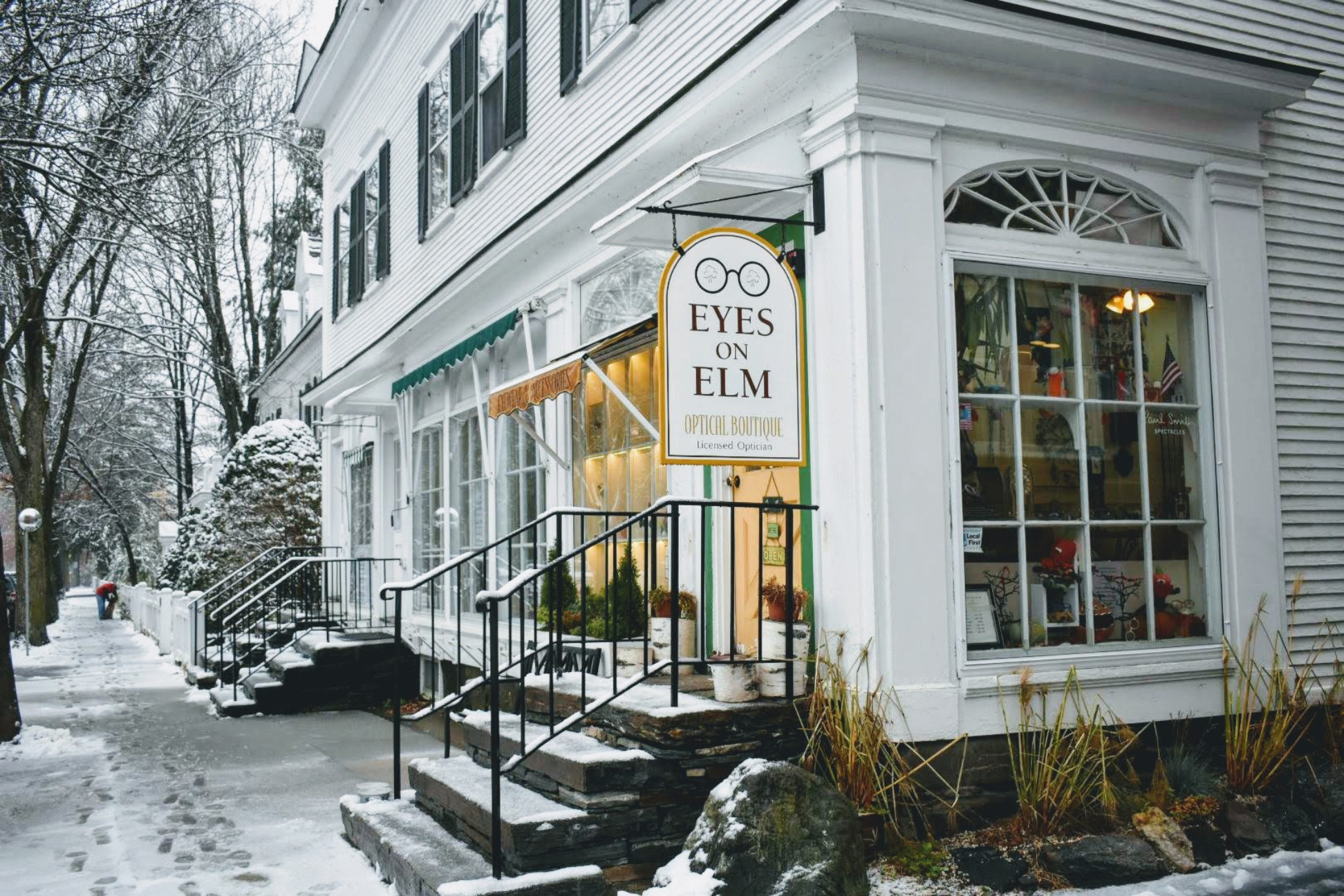 Eyes on Elm in snow