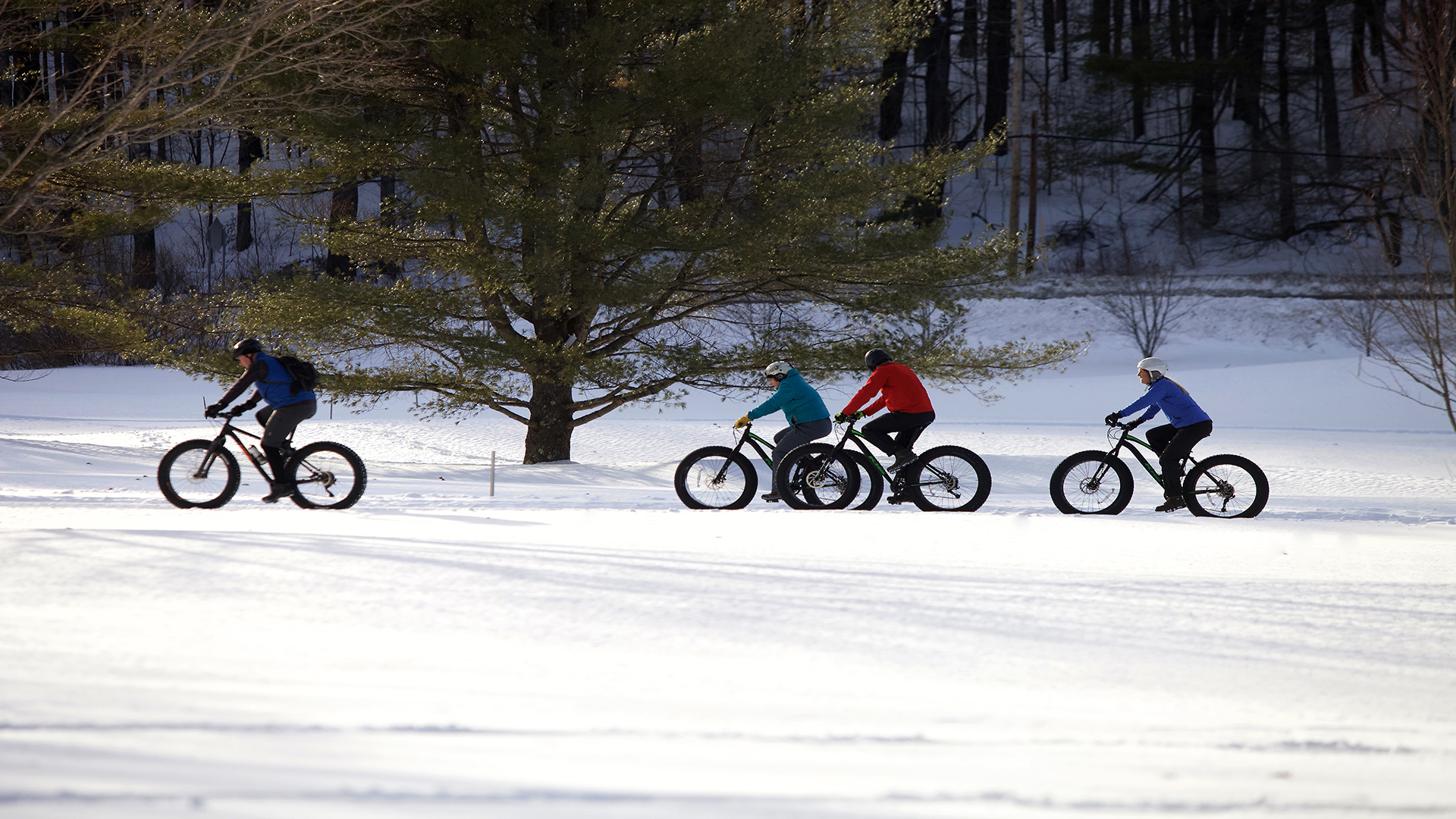 Fat Tire Group Bike