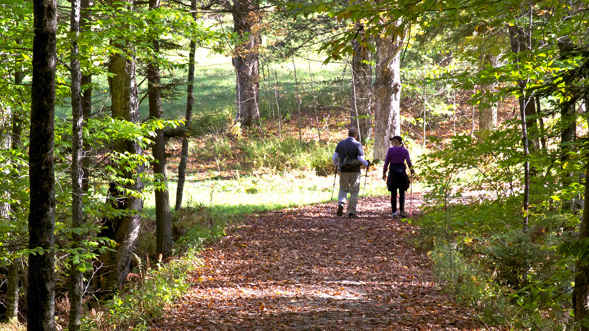 Hiking in Woodstock Vermont