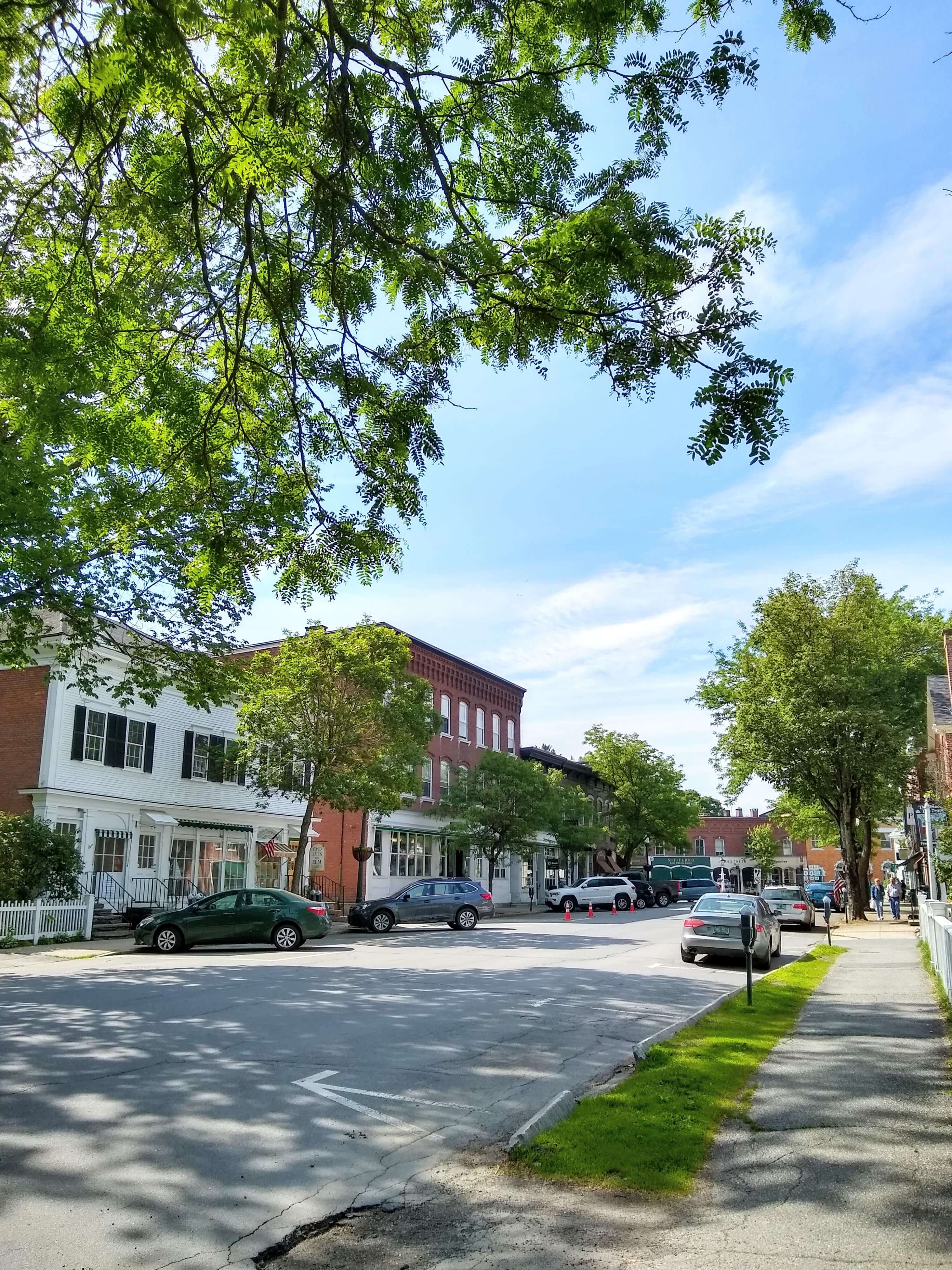 Elm Street shops in early summer