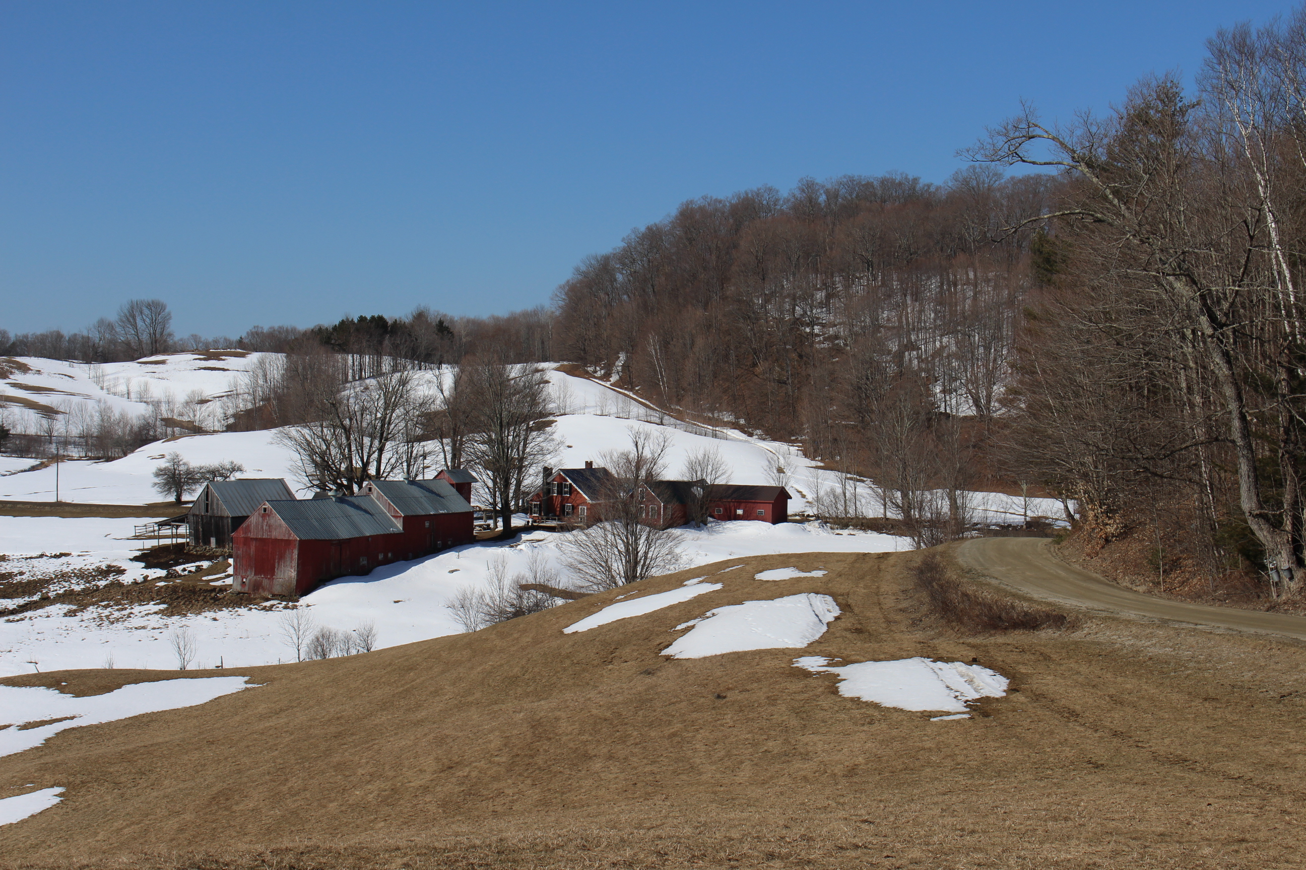 Maple Syrup, Made with Love Woodstock VT