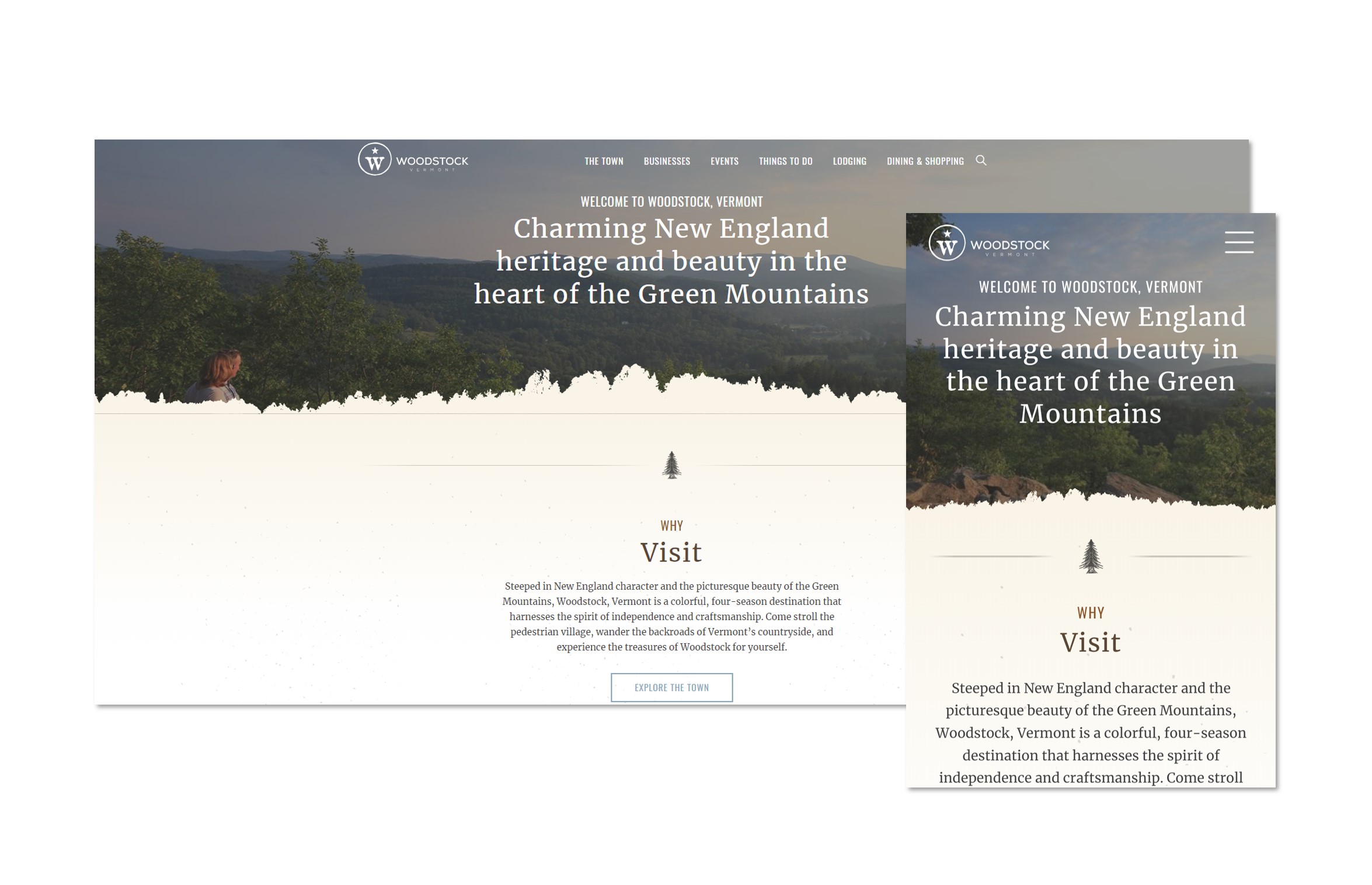 Website Landing Page Screenshot
