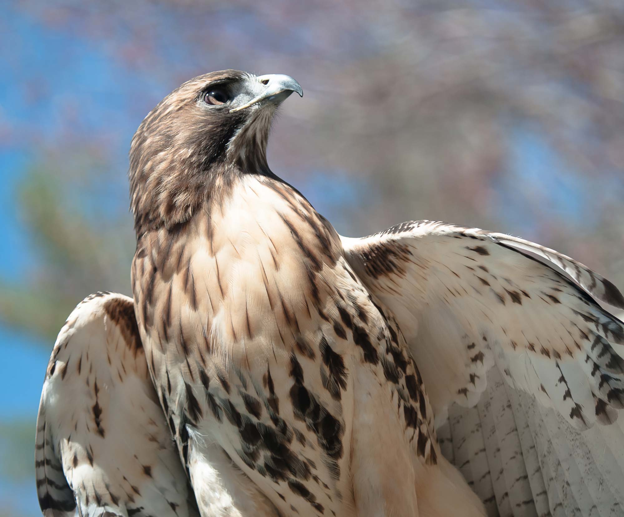 VINS Nature Center