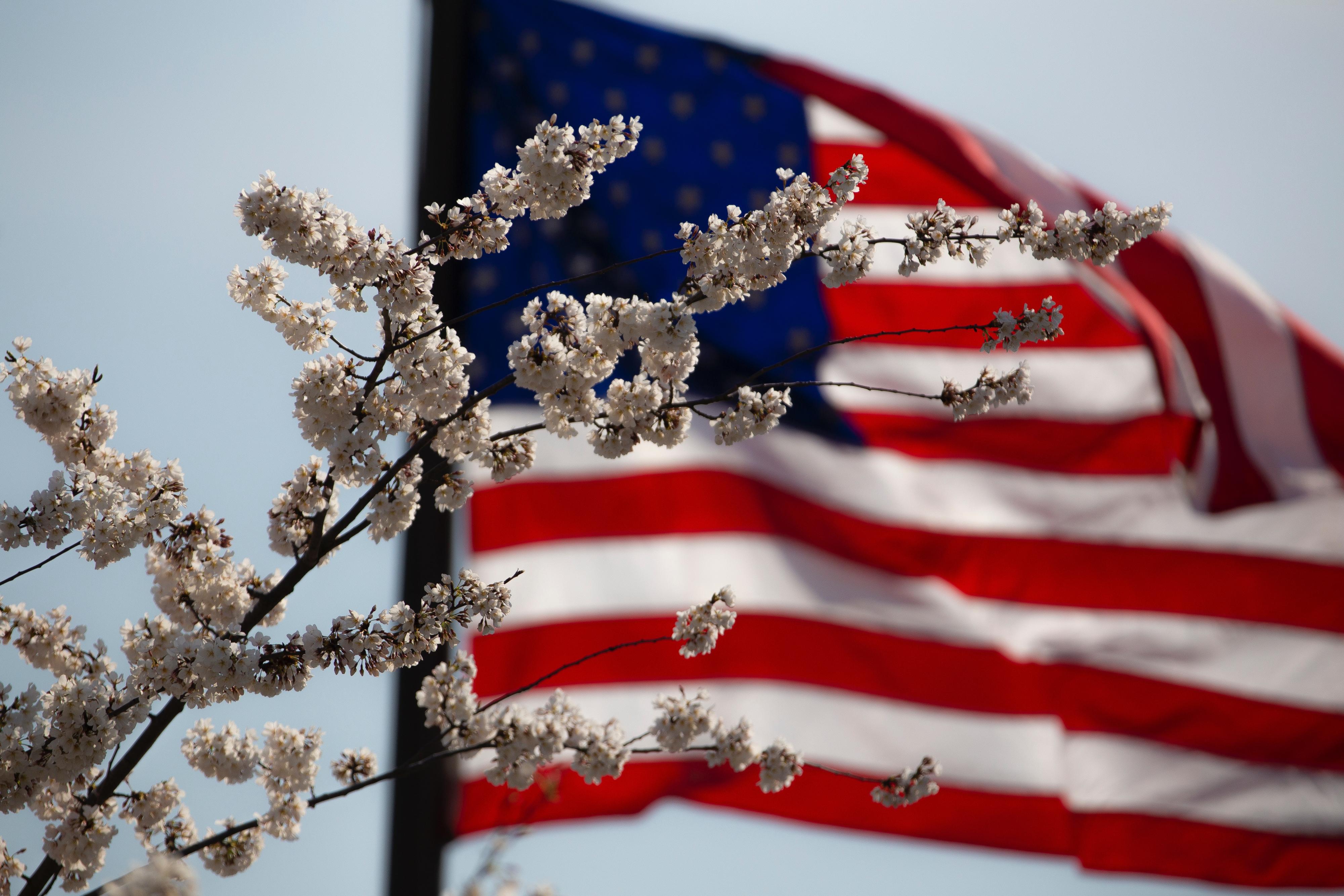 American flag behind flowers