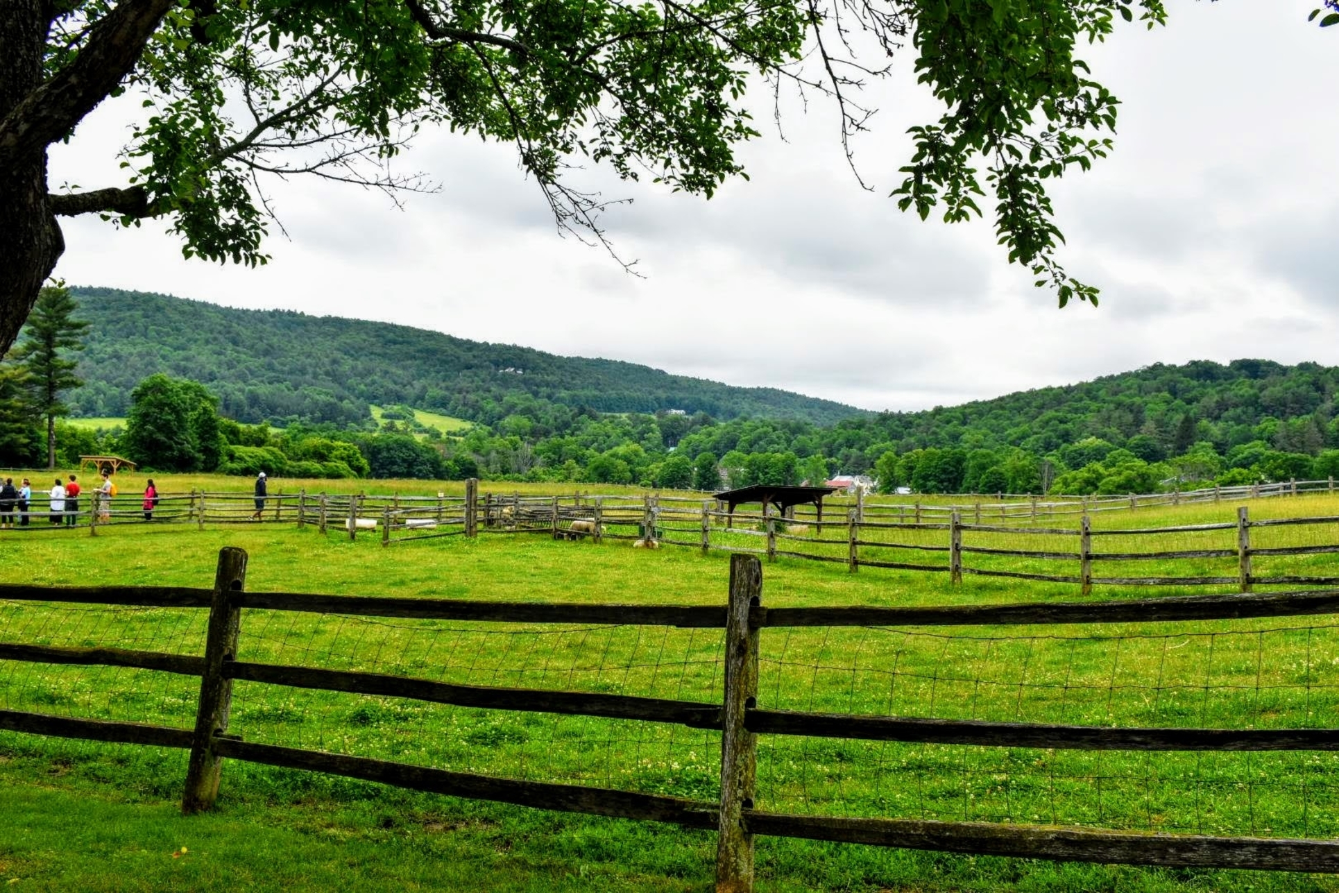 Billings farm spring