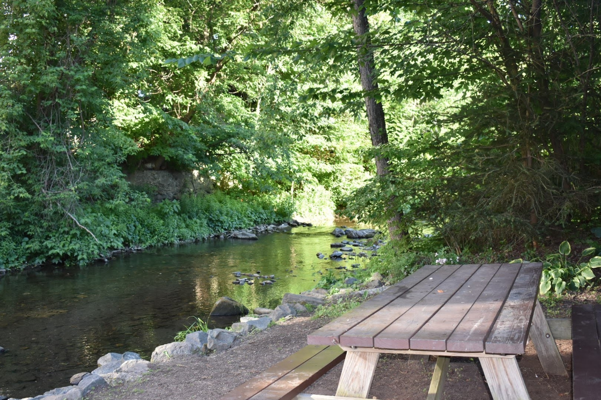 Kedron Brook Picnic Spot