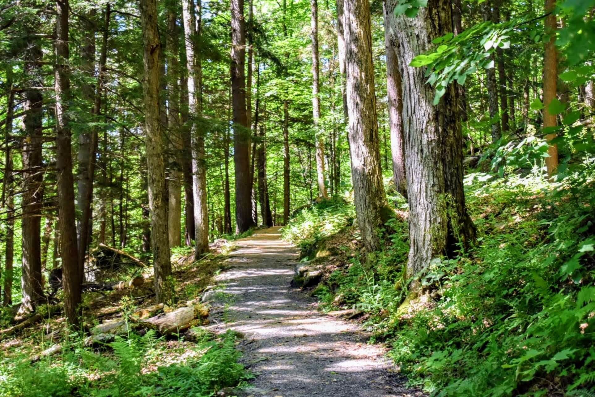 Start of the Faulkner Trail