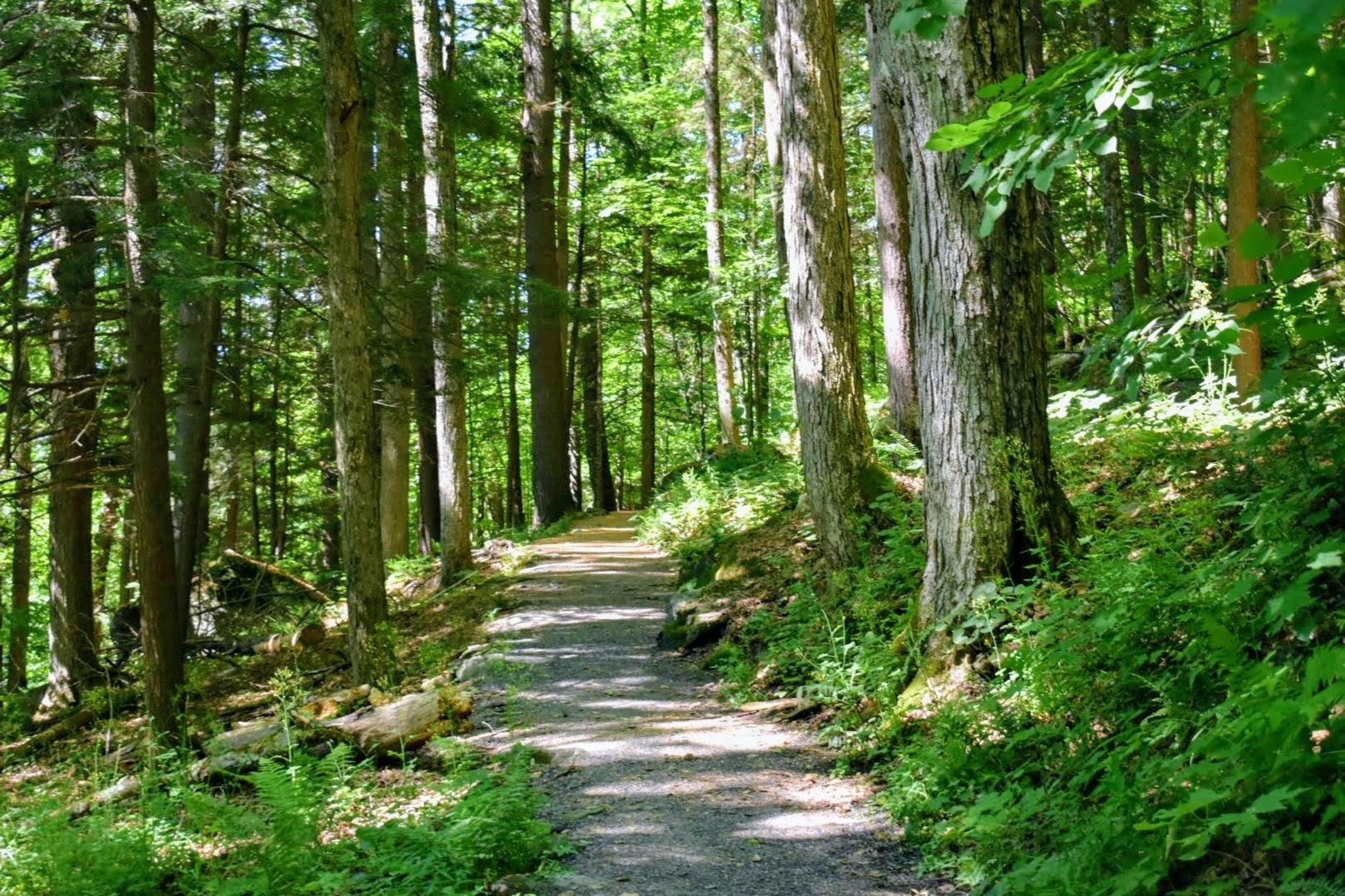 Faulkner Trail