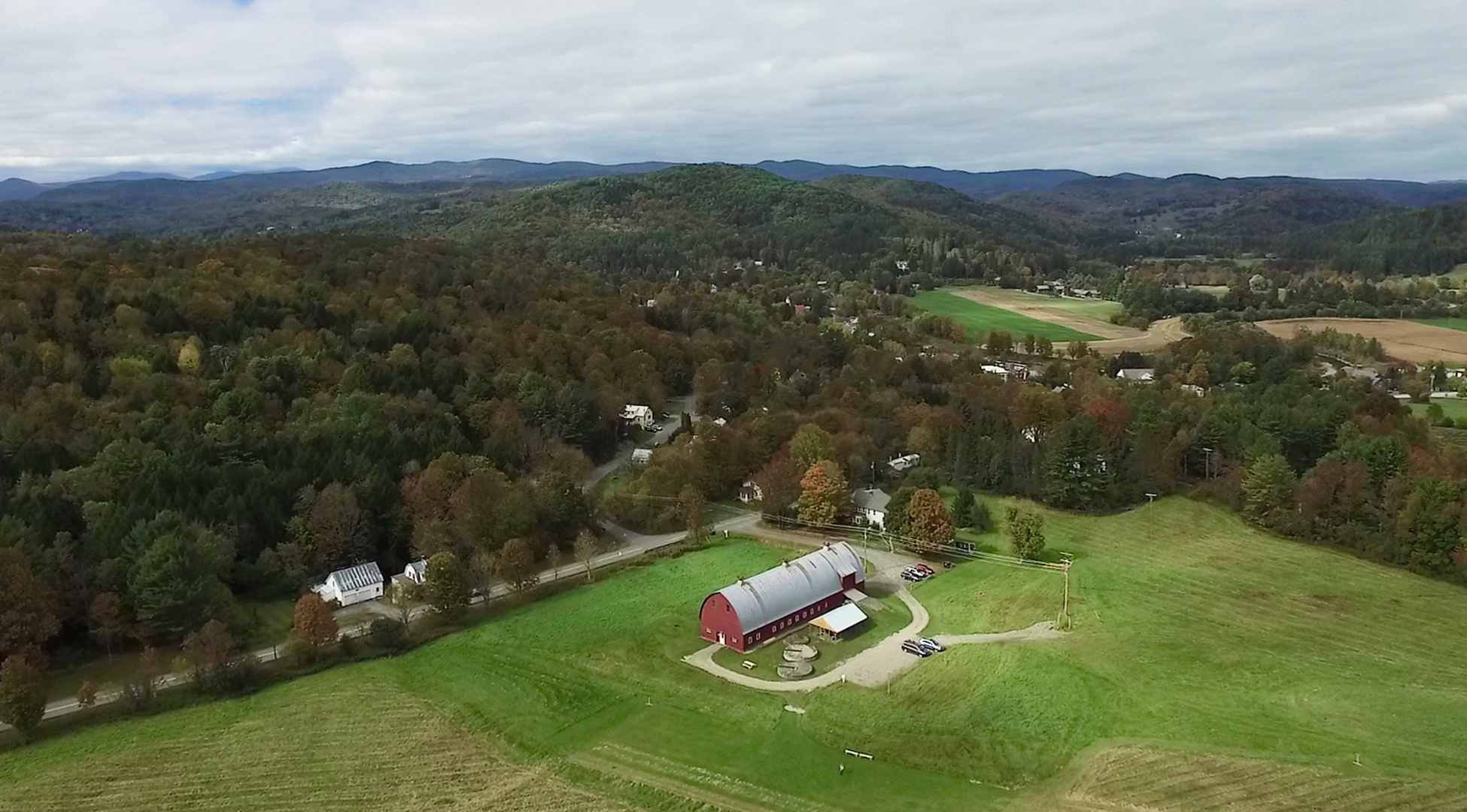 New England Falconry