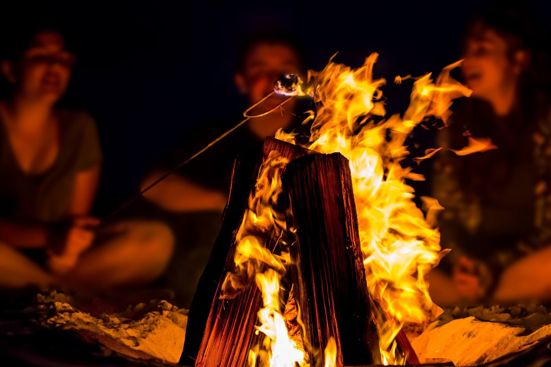 Campers summer bonfire