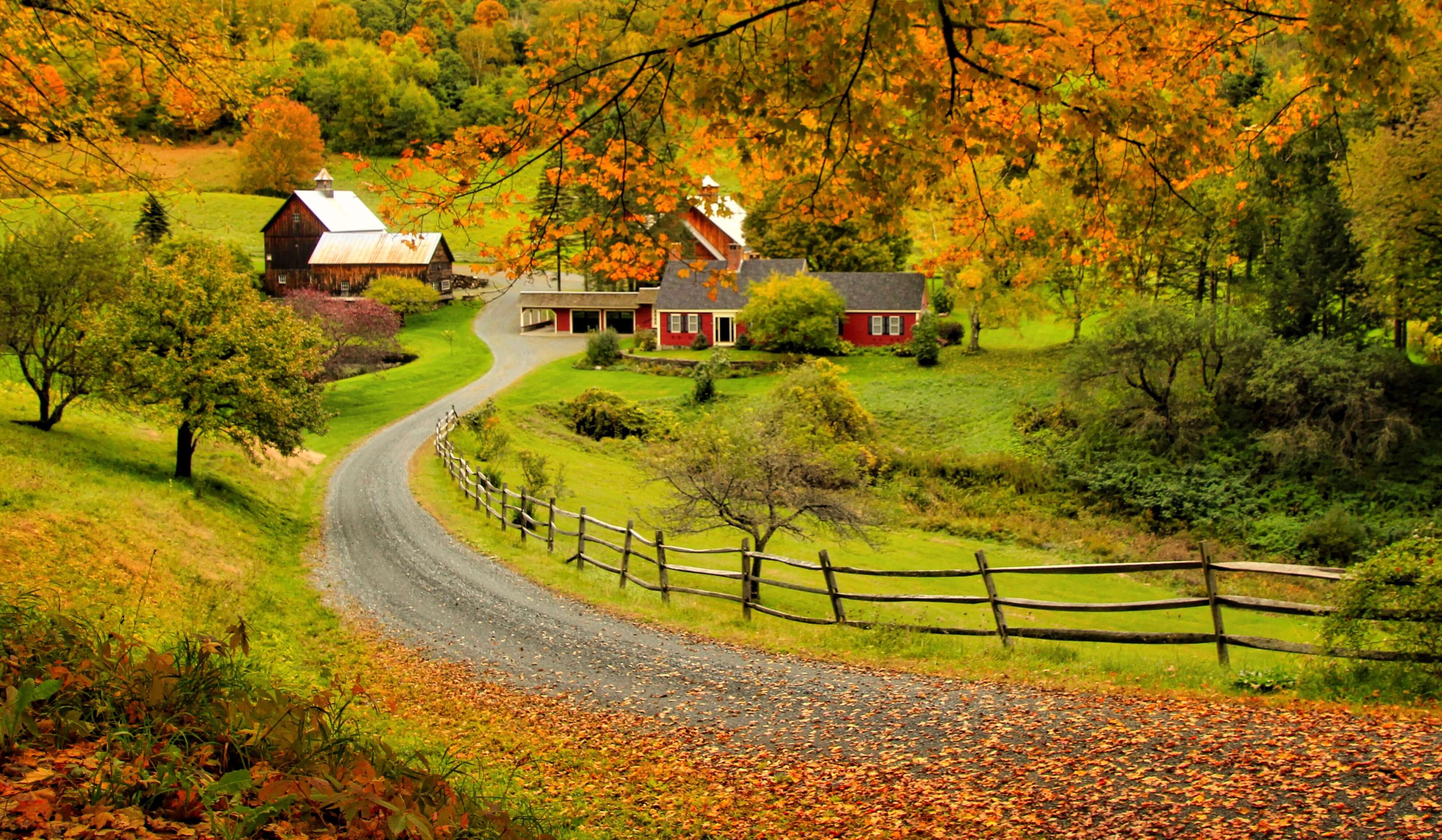 Sleepy Hollow Farm Foliage