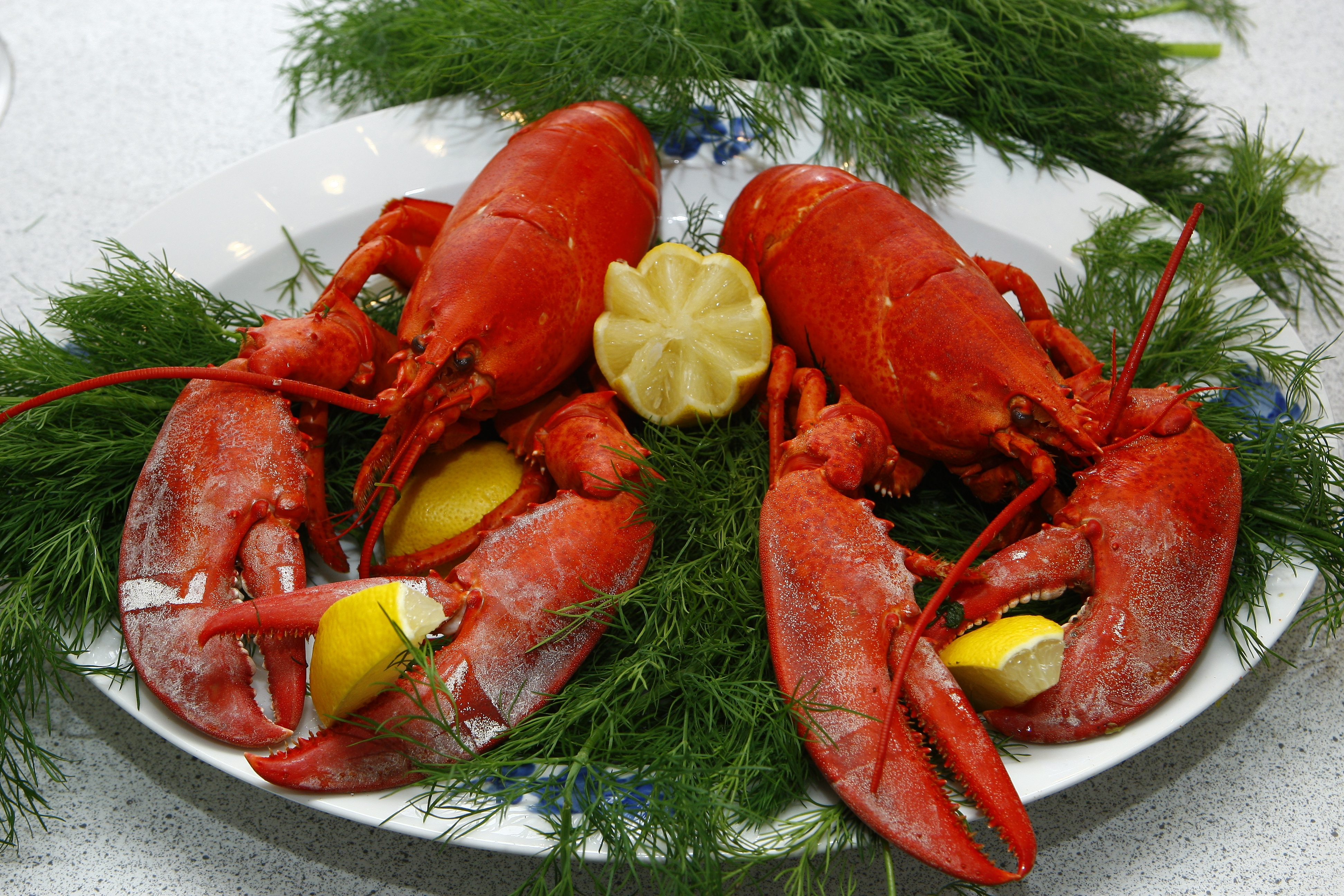 Lobster Dinner