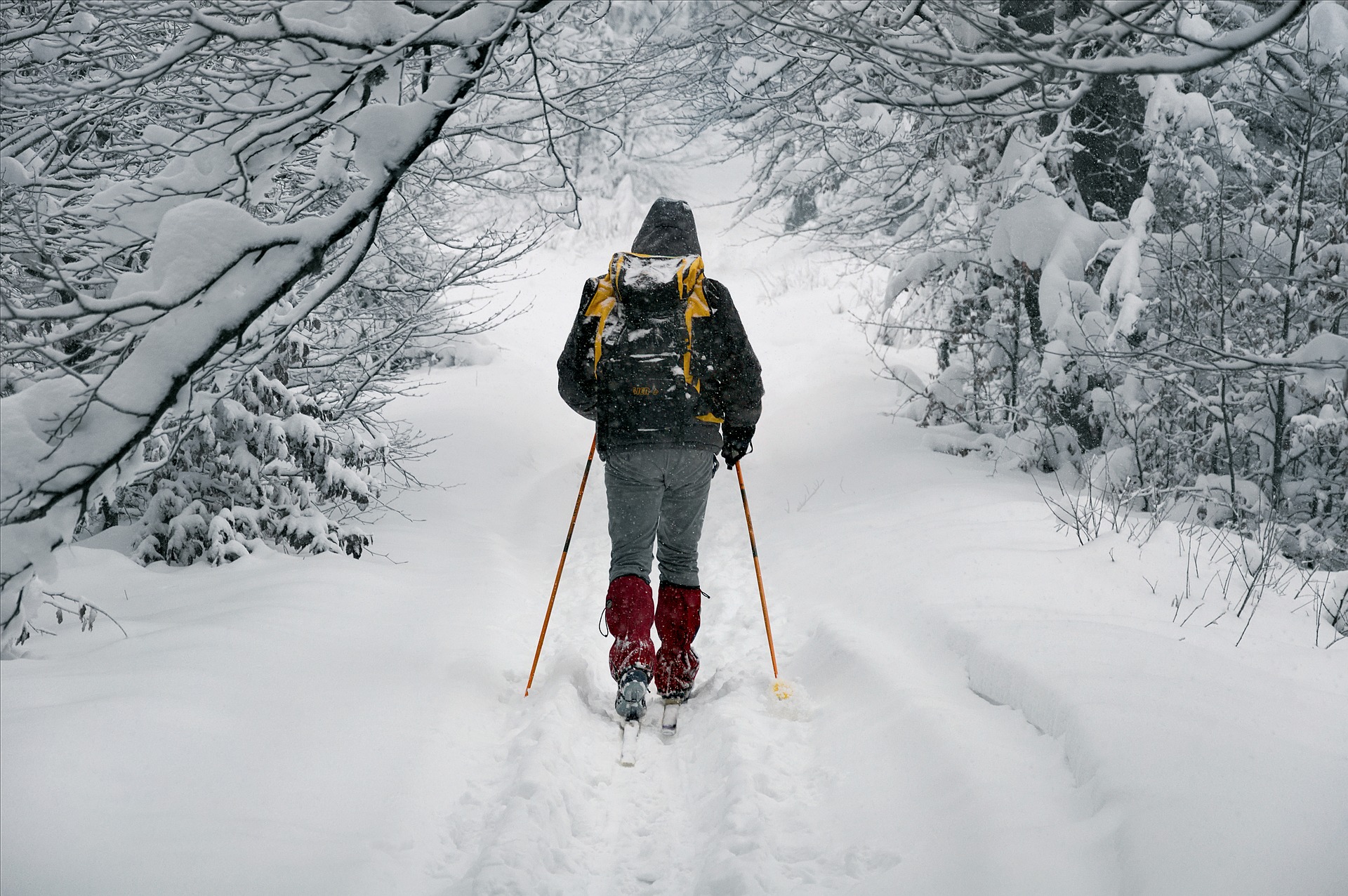 Cross Country Skiing