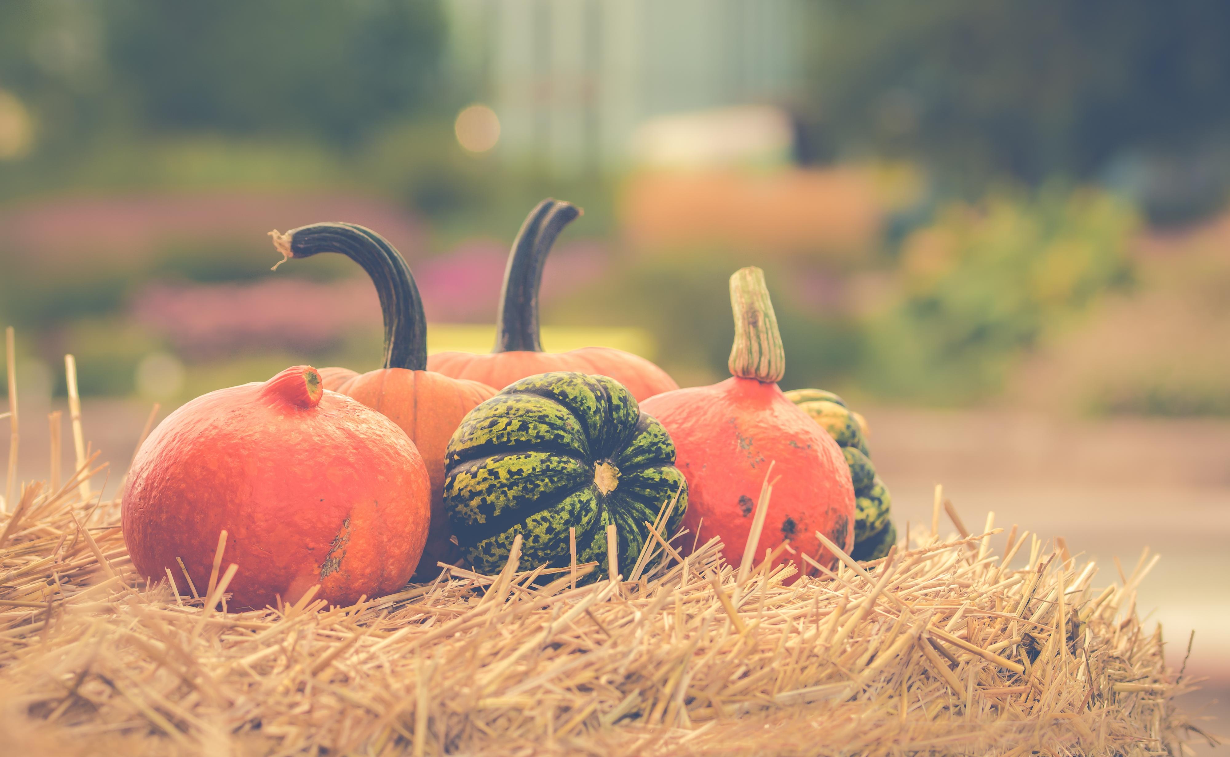October Pumpkins