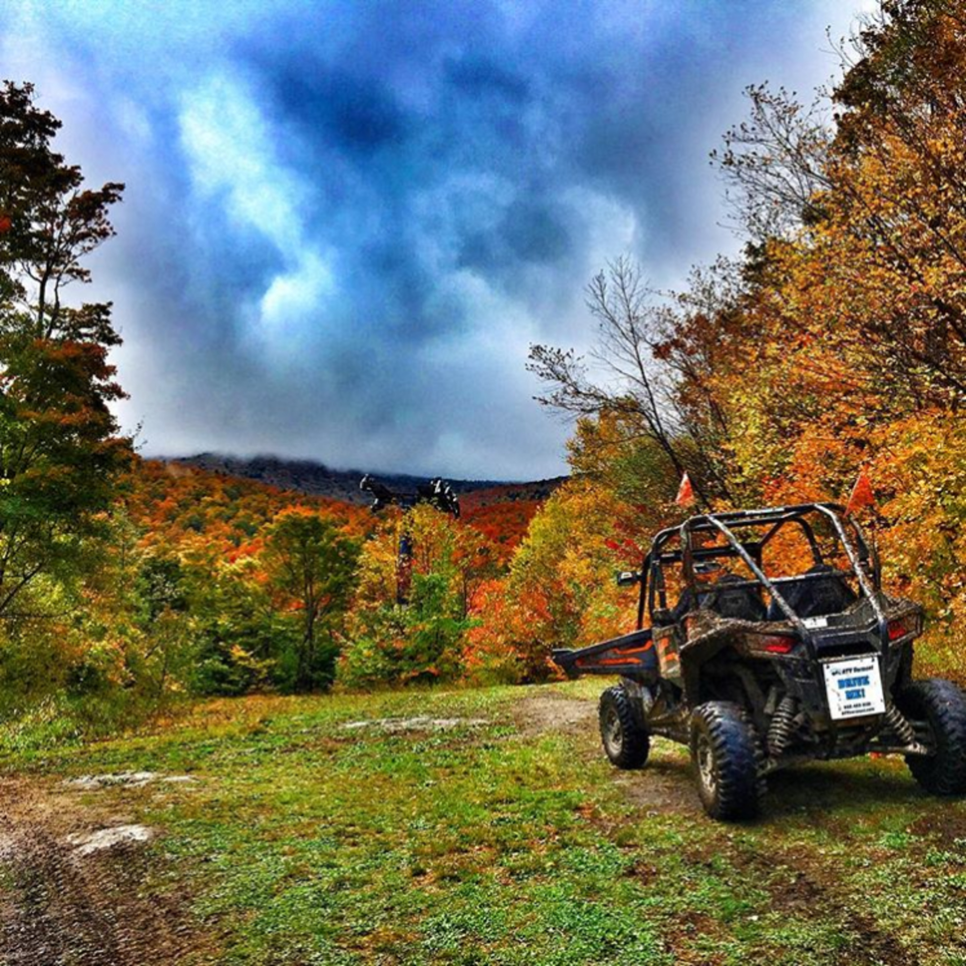 ATV Foliage