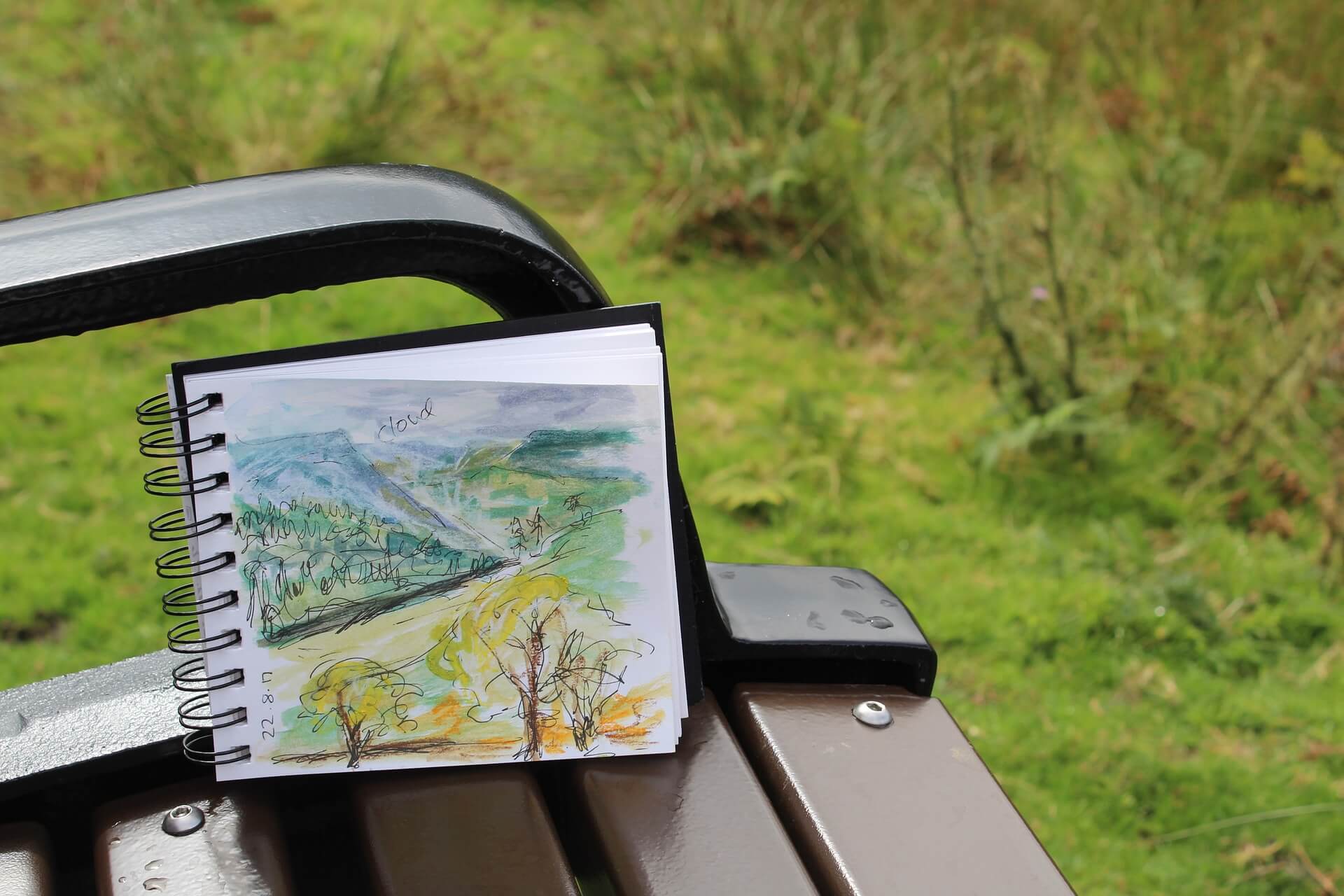 Plein air painting
