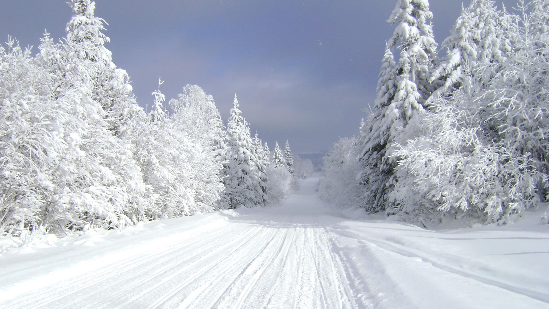 Snowmobile Trails