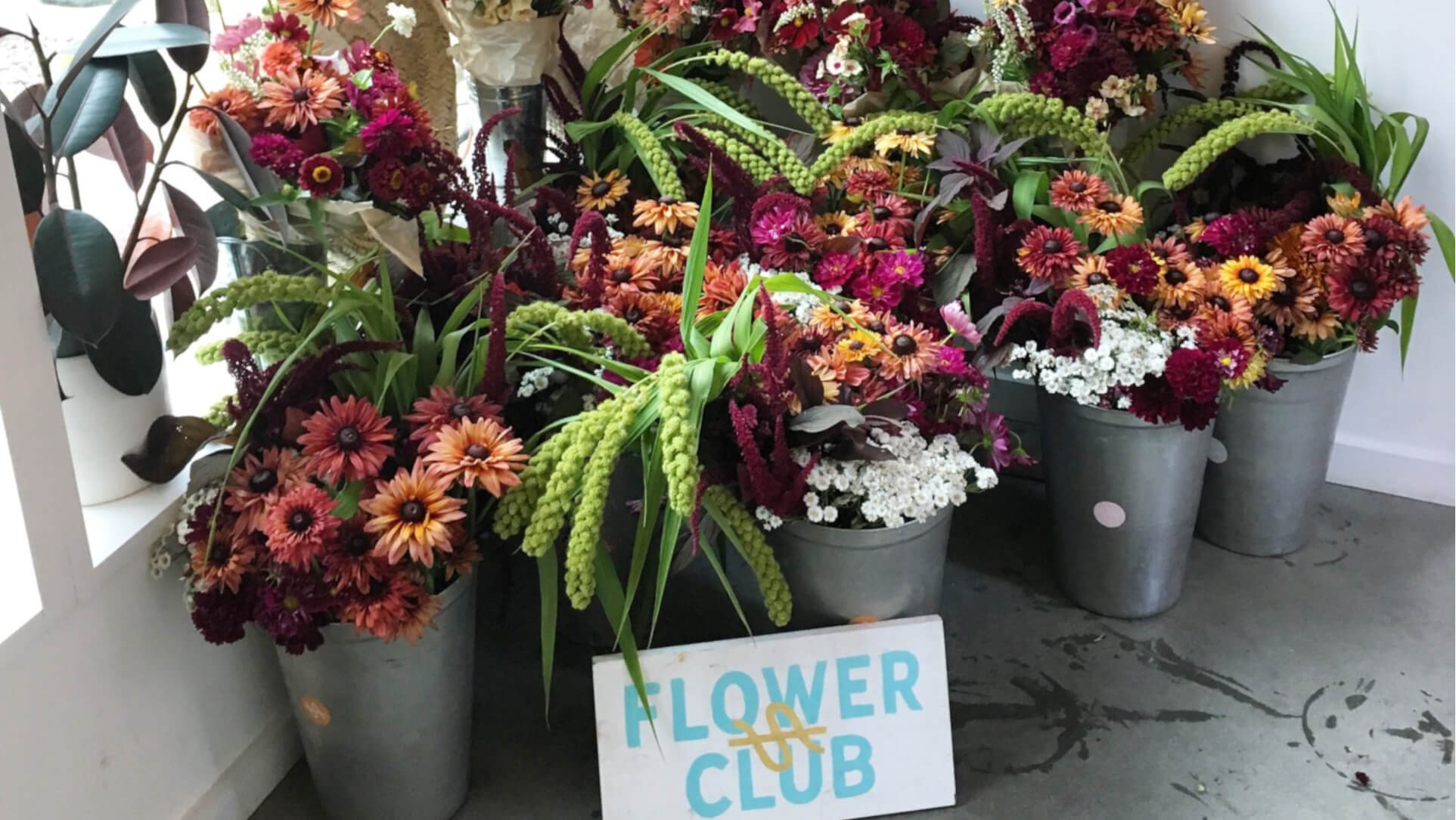 Stitchdown Farm flower CSA