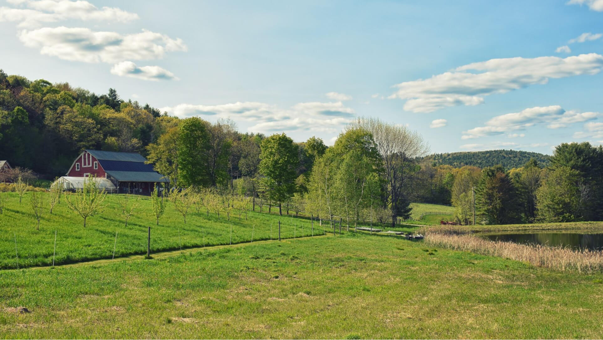 Sunrise Farm