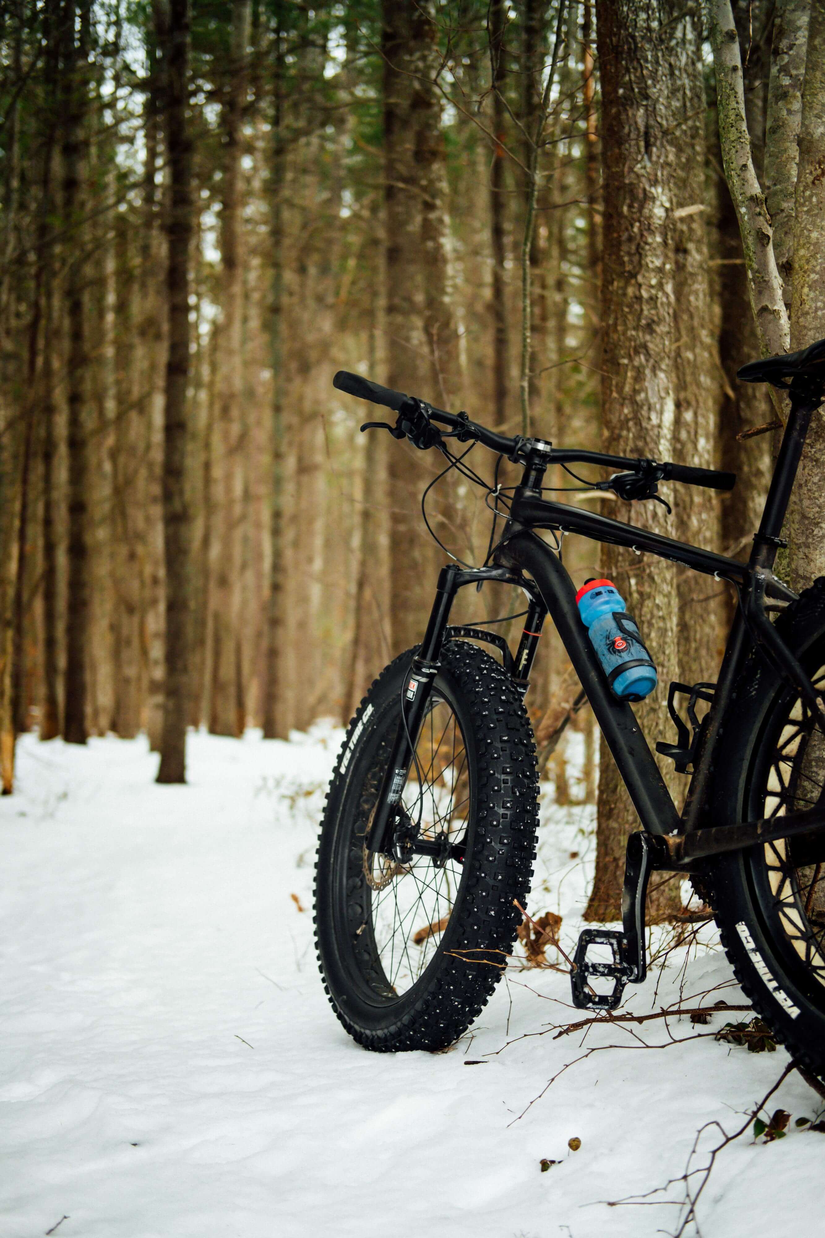 Fat Tire bicycle snow