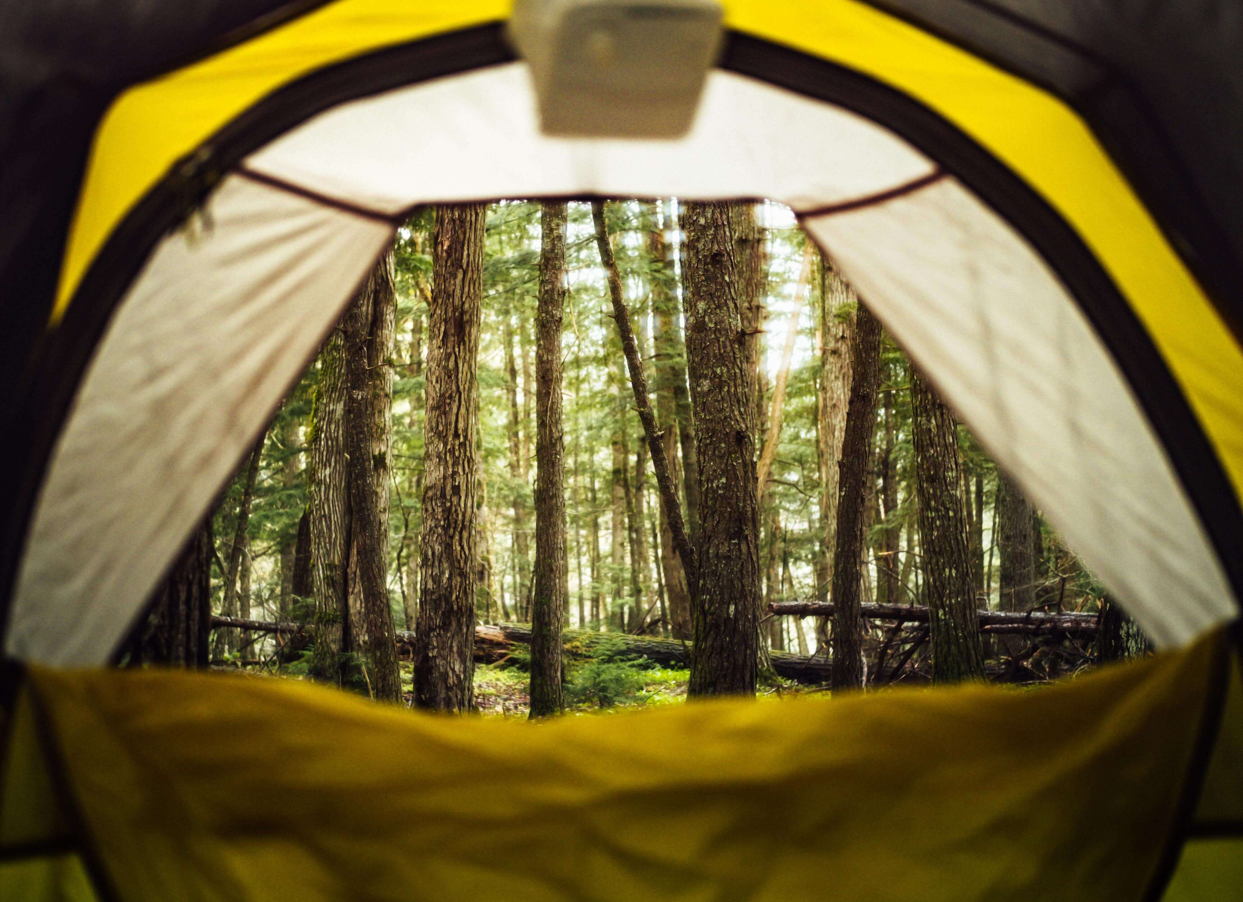 Inside tent camping