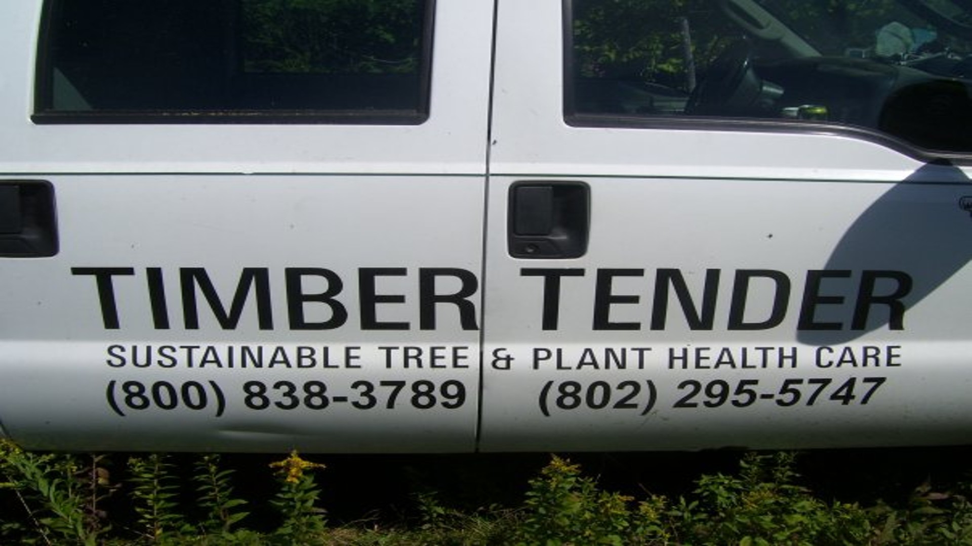 timber tender