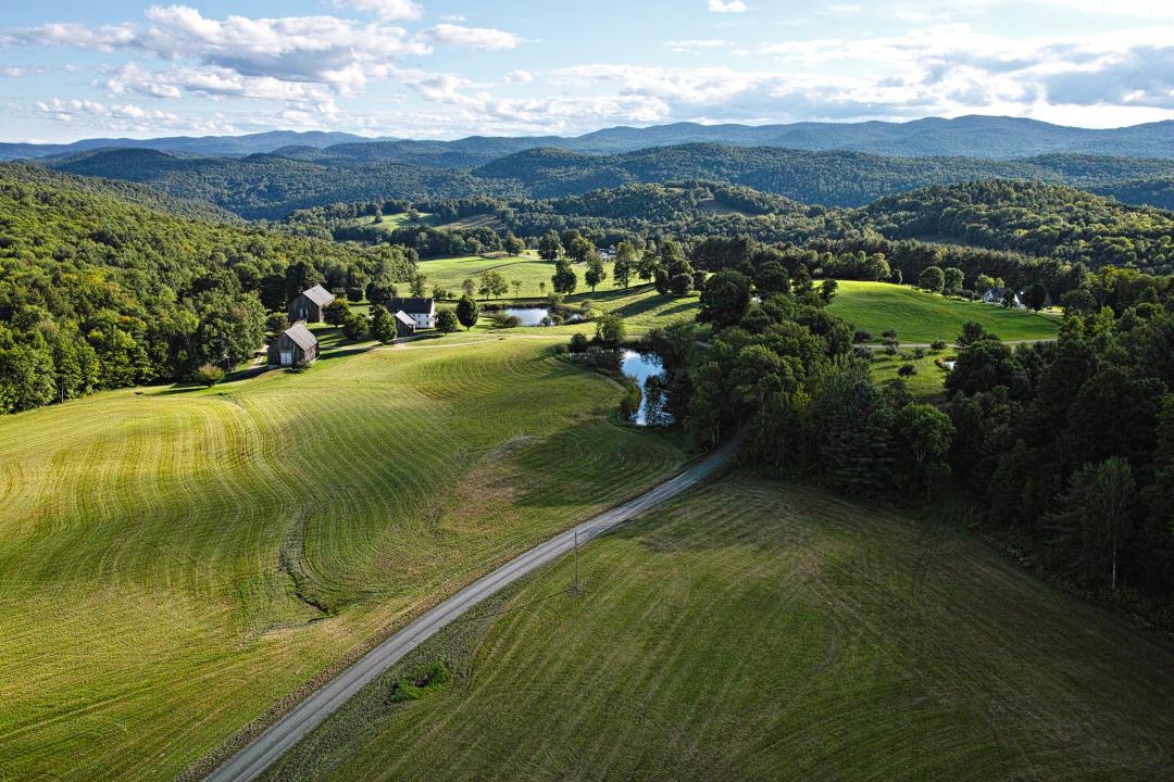 williamson group field