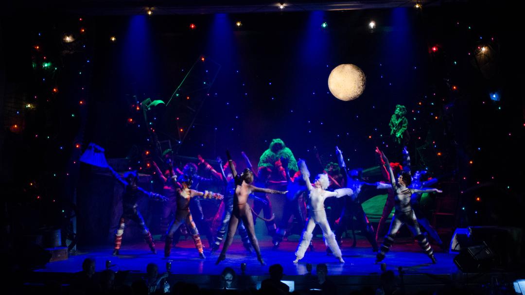 Cats the Musical at Woodstock Town Hall Theatre