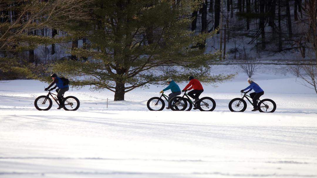 Fat Tire Group Bike