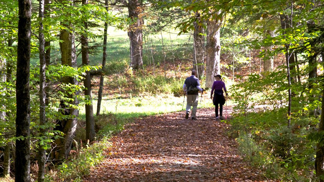Hiking in Woodstock Vermont