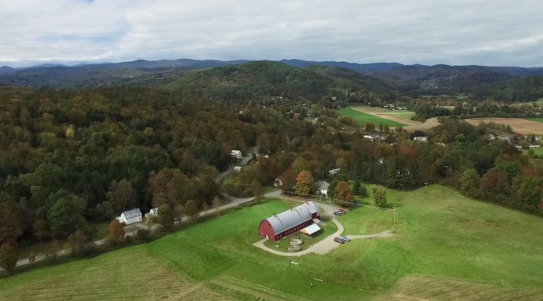 New England Falconry