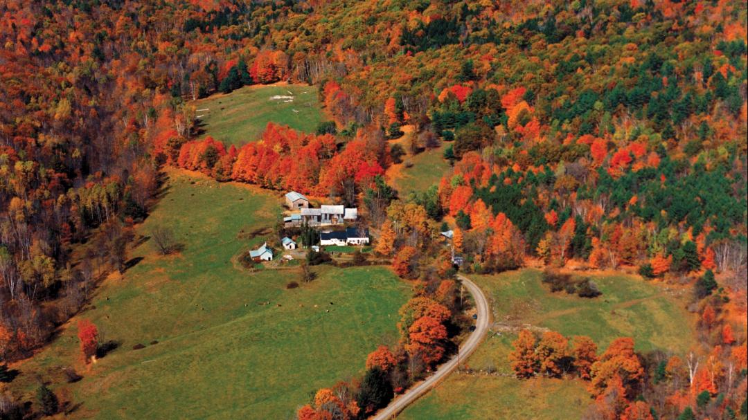 Fall foliage in Vermont, Vermont Farm