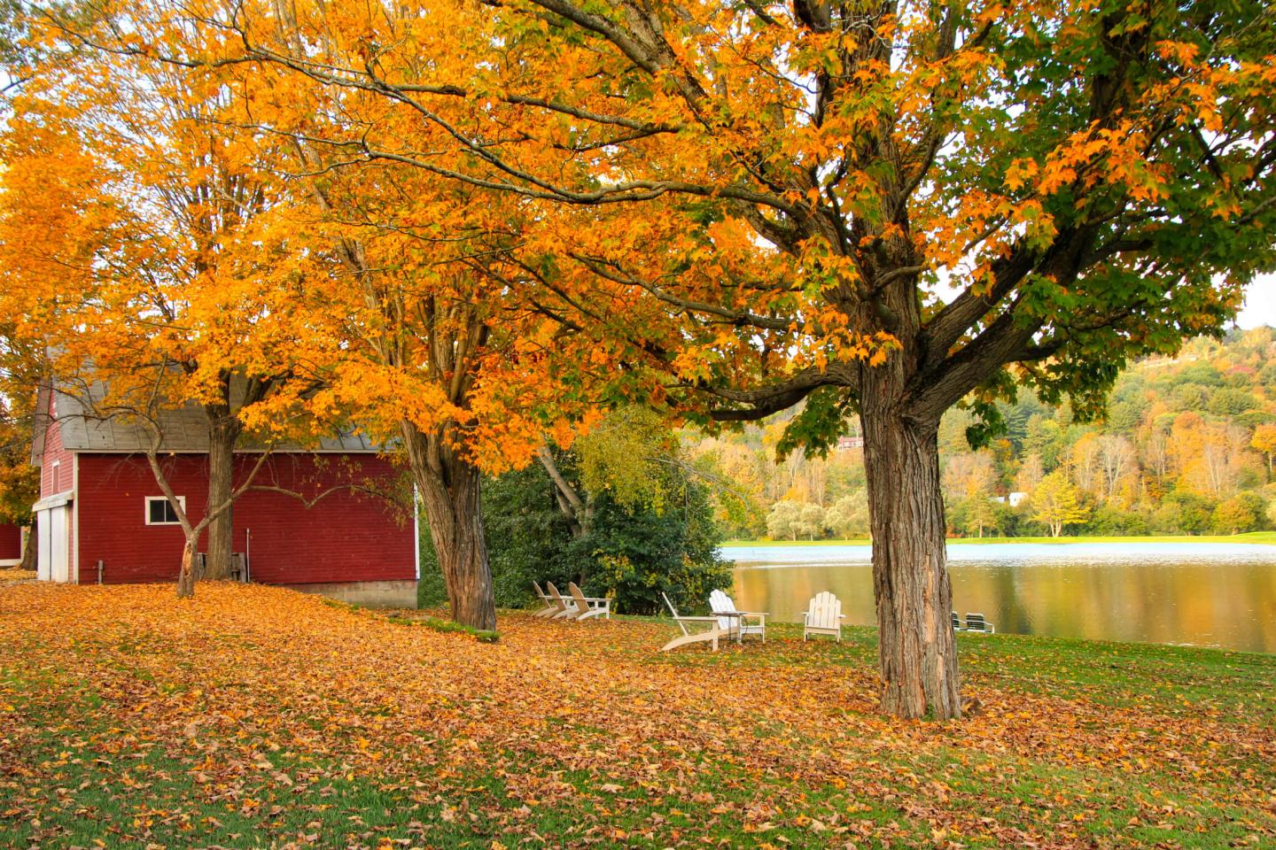 Quechee foliage
