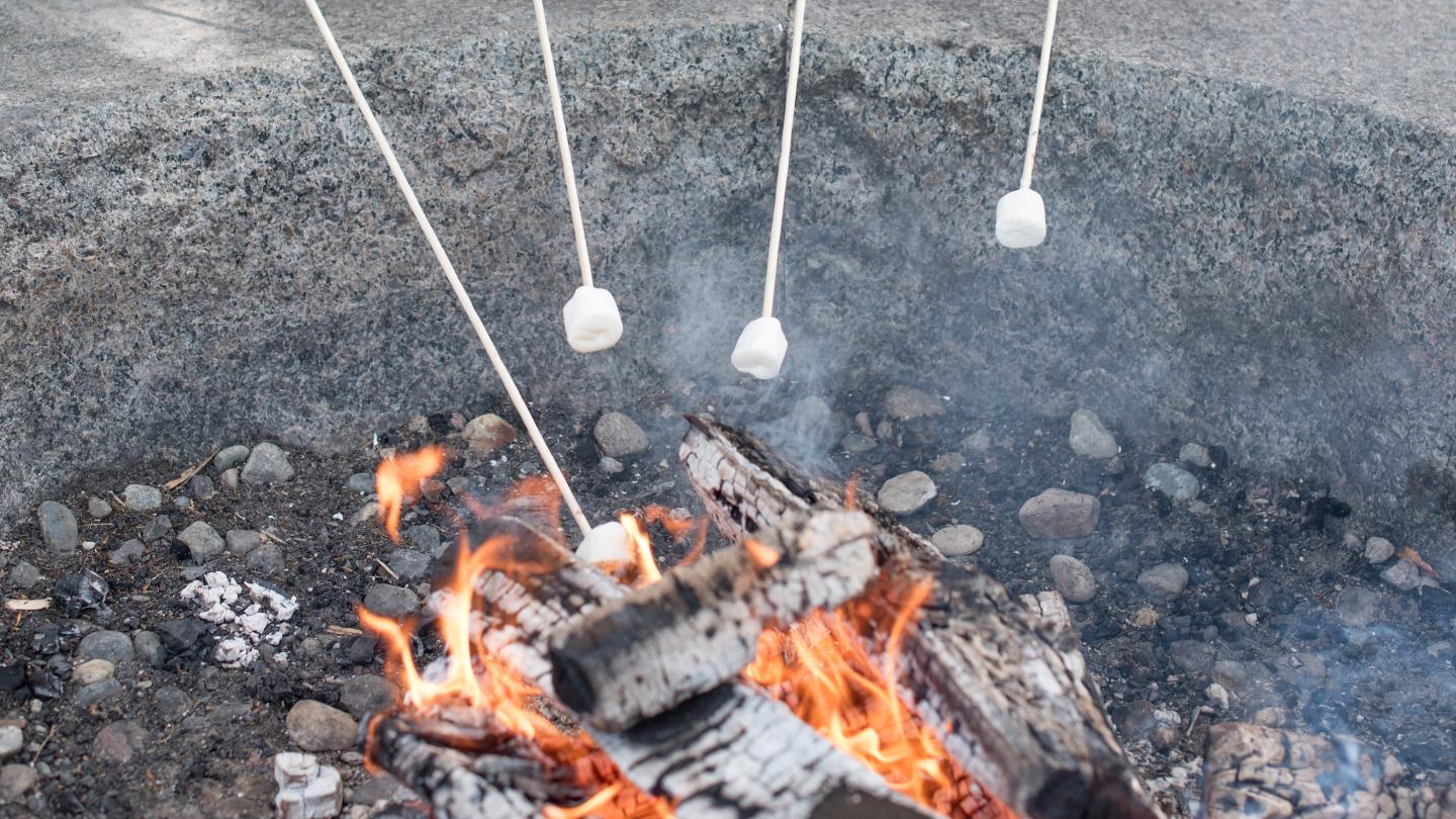 Family S'mores