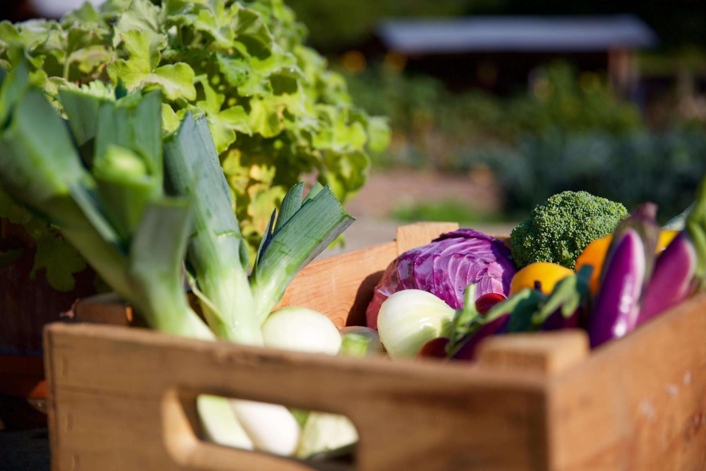 Produce
