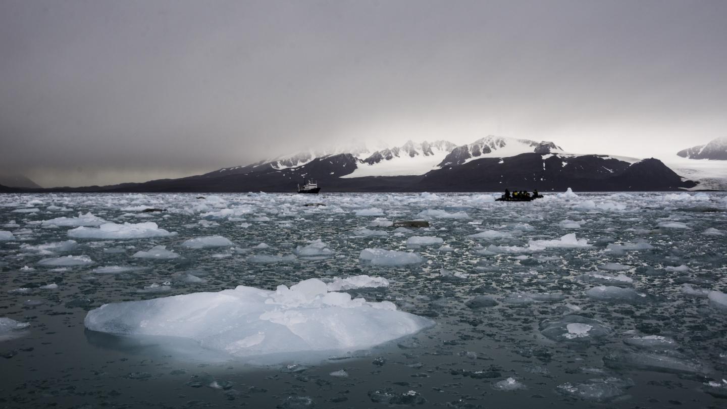 Arctic