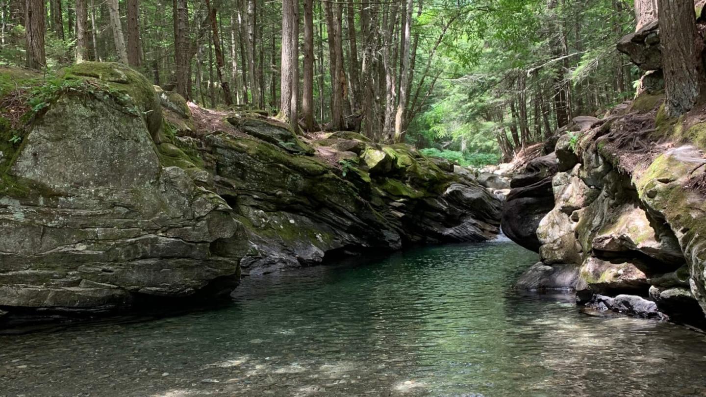 swimming hole