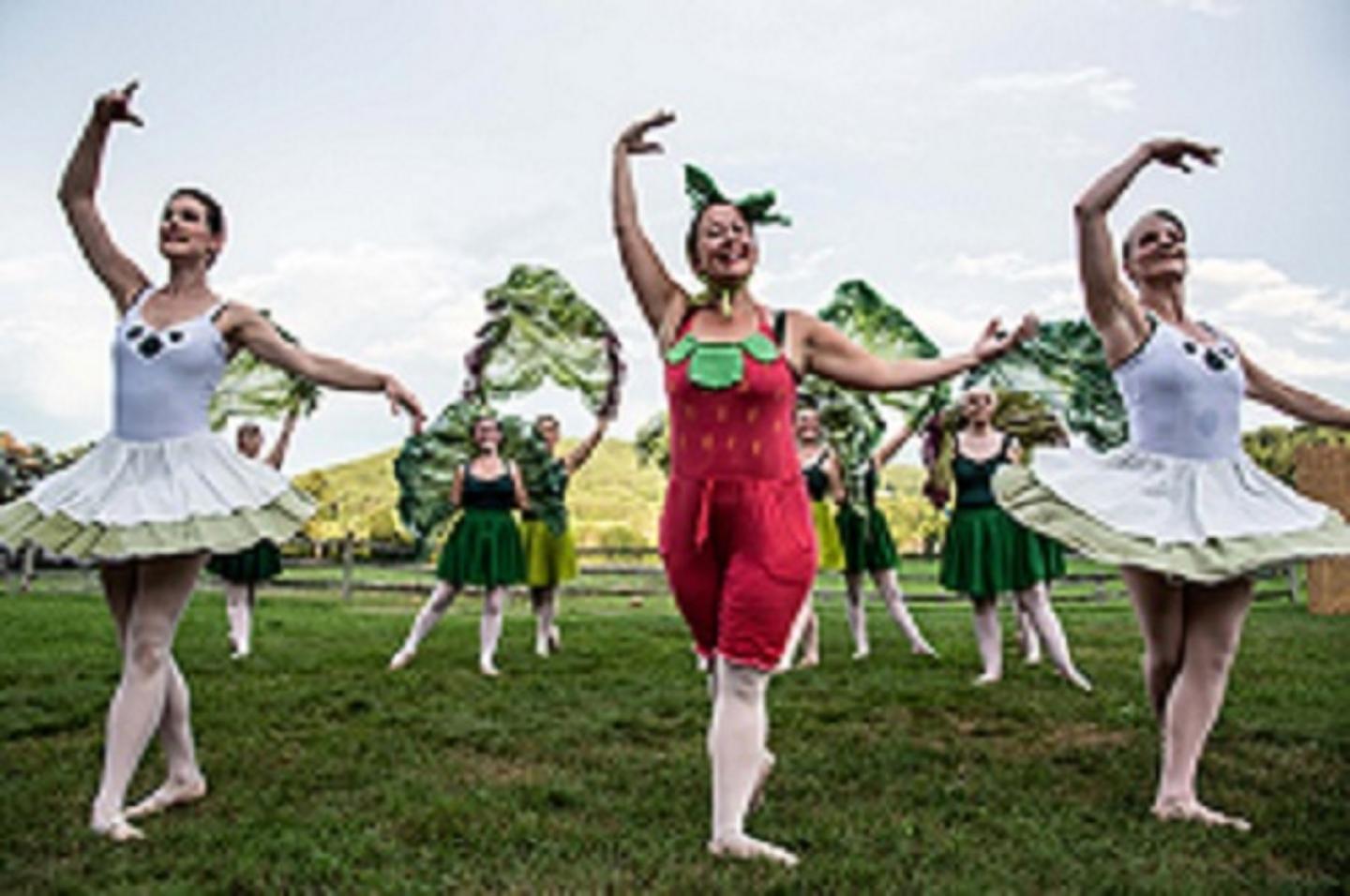 Ballet dancers dressed as vegetables performing on grass in front of an audience seated on blankets.