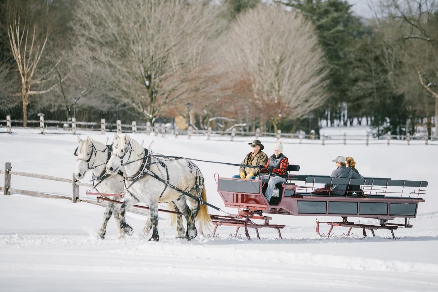 Billings Sleigh Ride