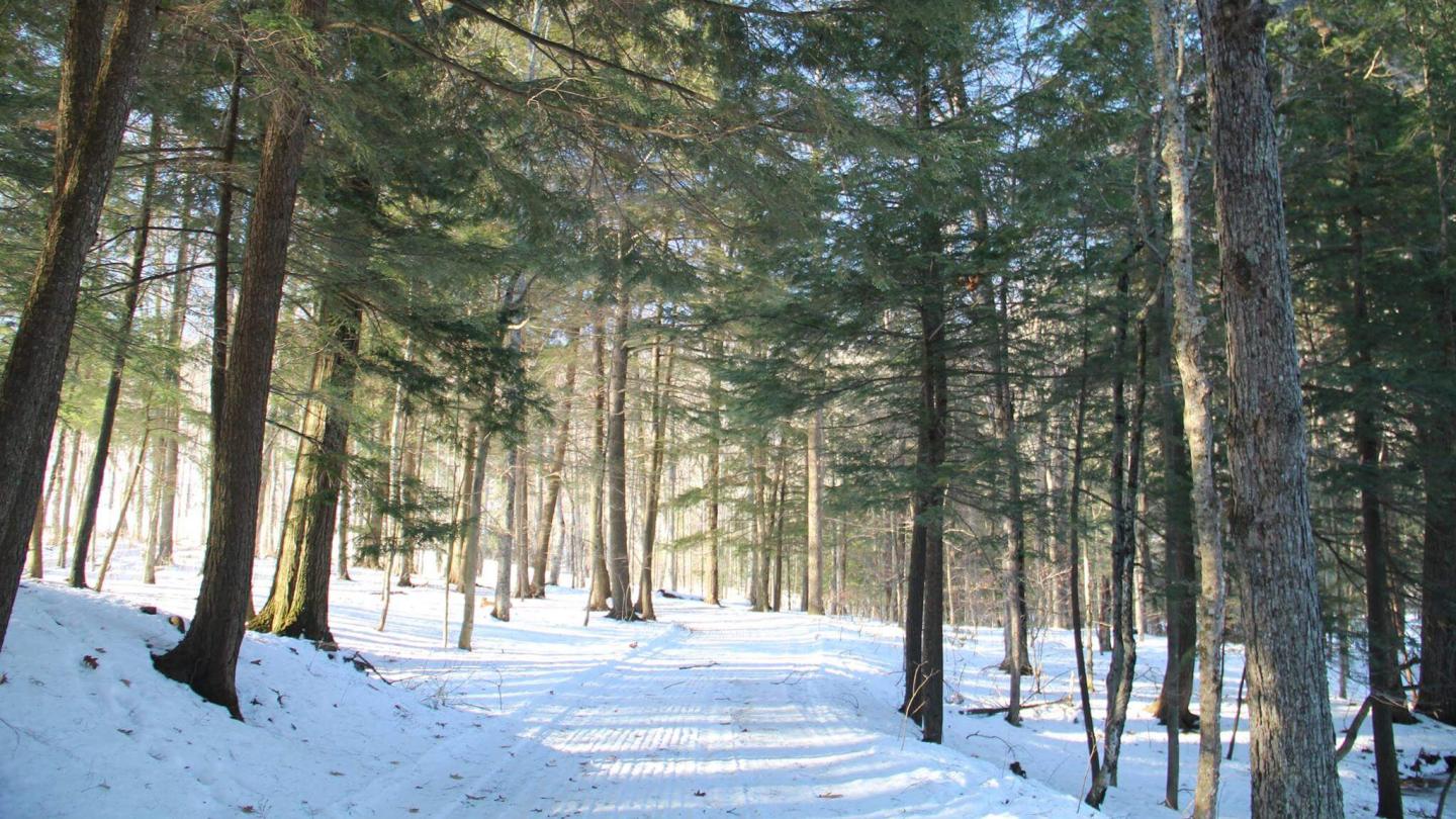 Marsh-Billings-Rockefeller NHP winter trails