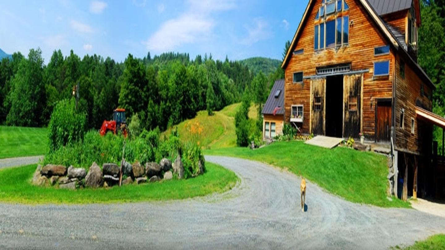 harper environmental