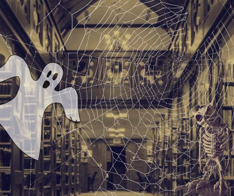 SBOOKY Library with ghost & spider web...