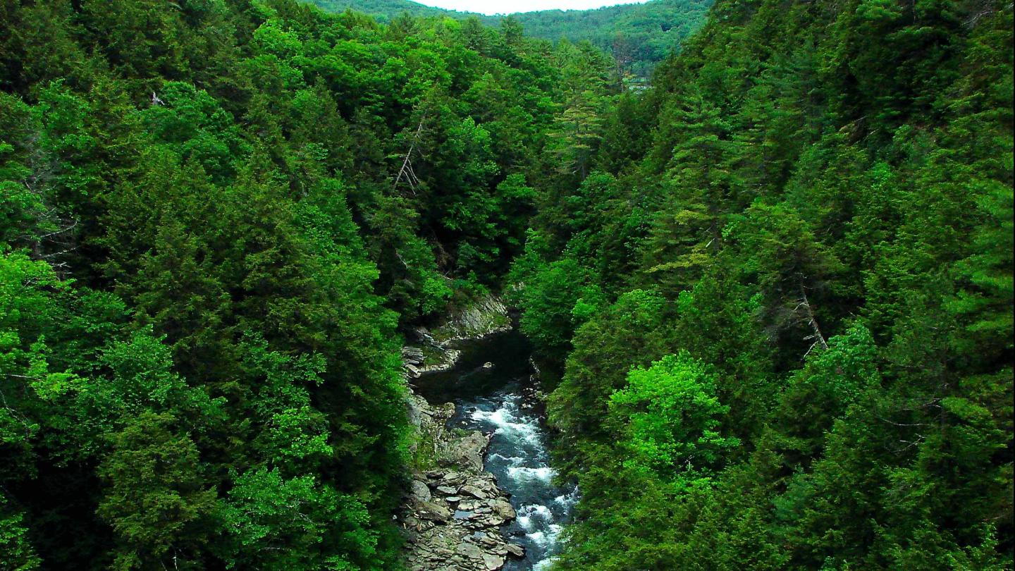 Quechee Gorge