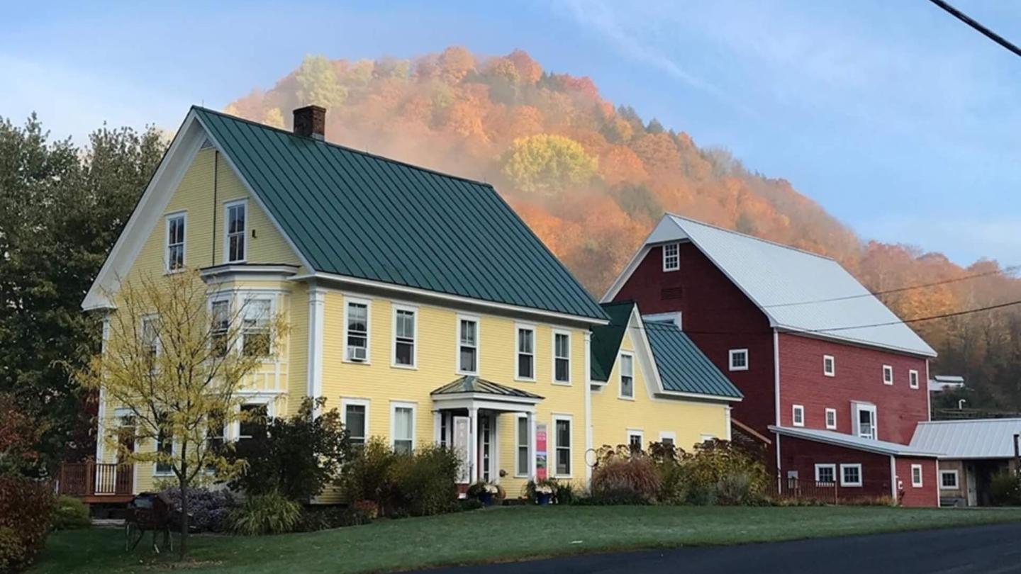 Artistree in fall