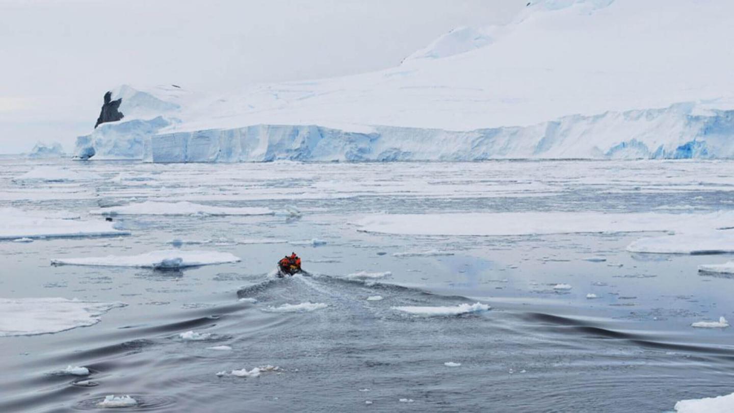 Antarctic